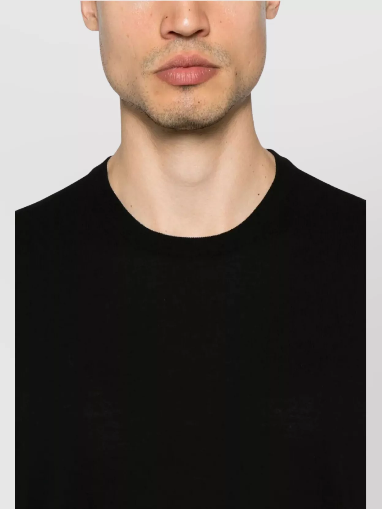 Tagliatore Men's Crew Neck T-Shirt