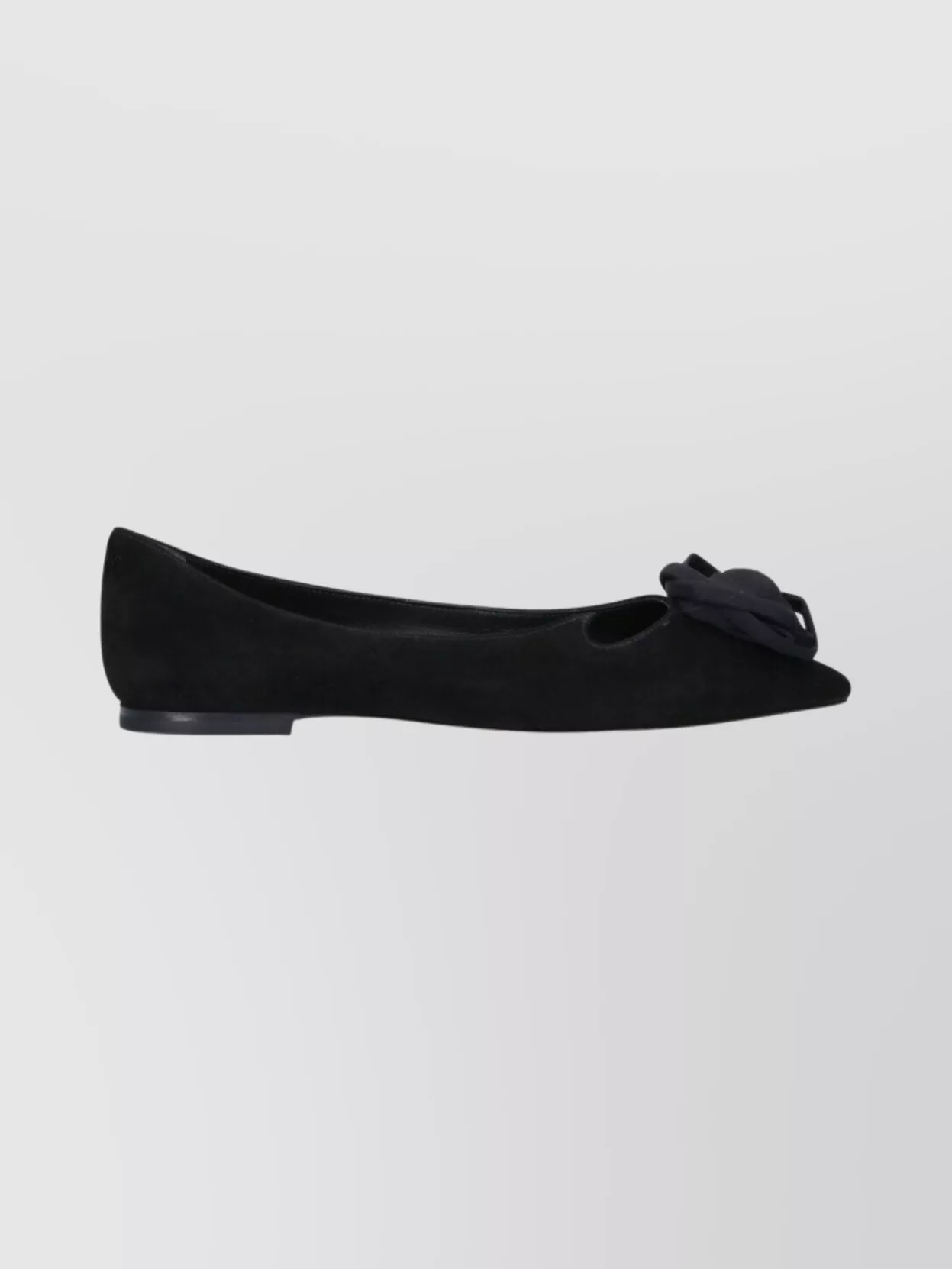 Roger Vivier Floral Pointed Toe Flat Sole Ballerina Shoes