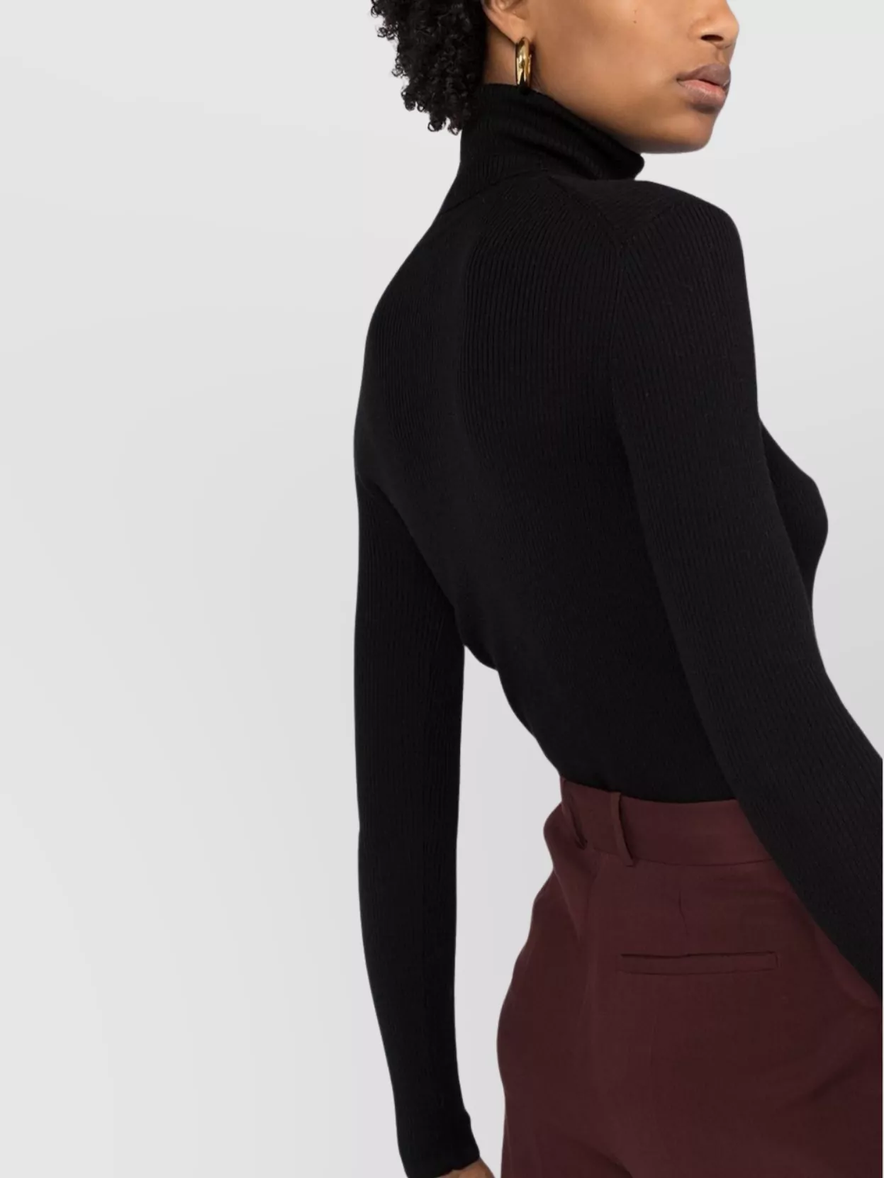 Parosh Fitted Turtleneck Knitwear Long Sleeves