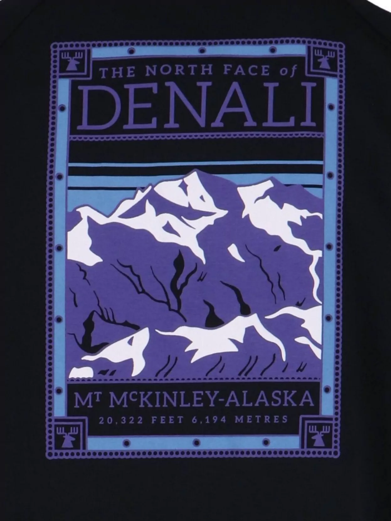 THE NORTH FACE GRAPHIC CREW NECK T-SHIRT