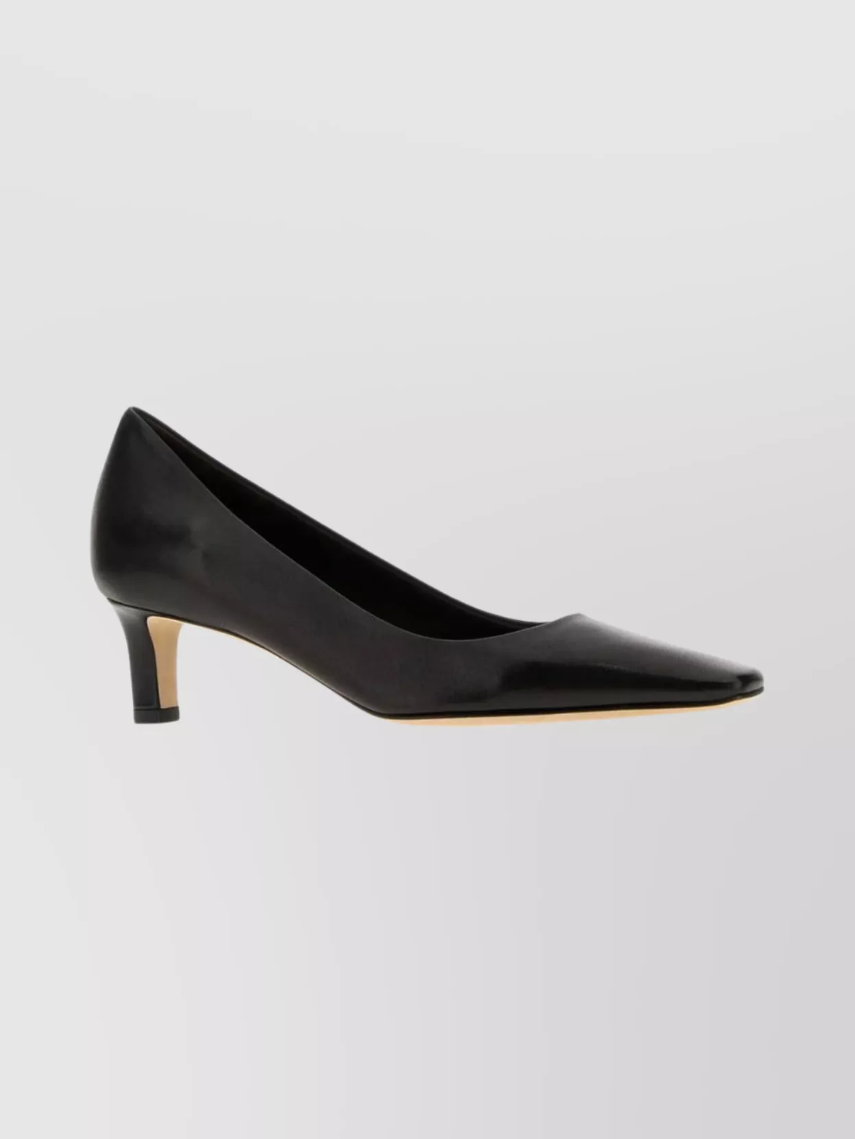 The Row Pointed Toe Leather Carla 45 Pumps In Black