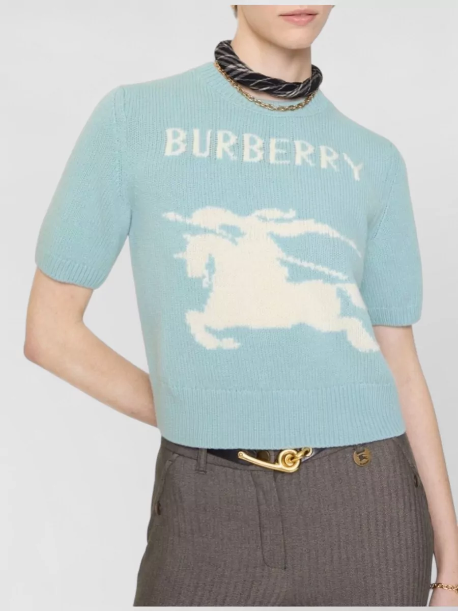 Burberry Cashmere Wool Short-Sleeve Ribbed Crew-Neck Sweater