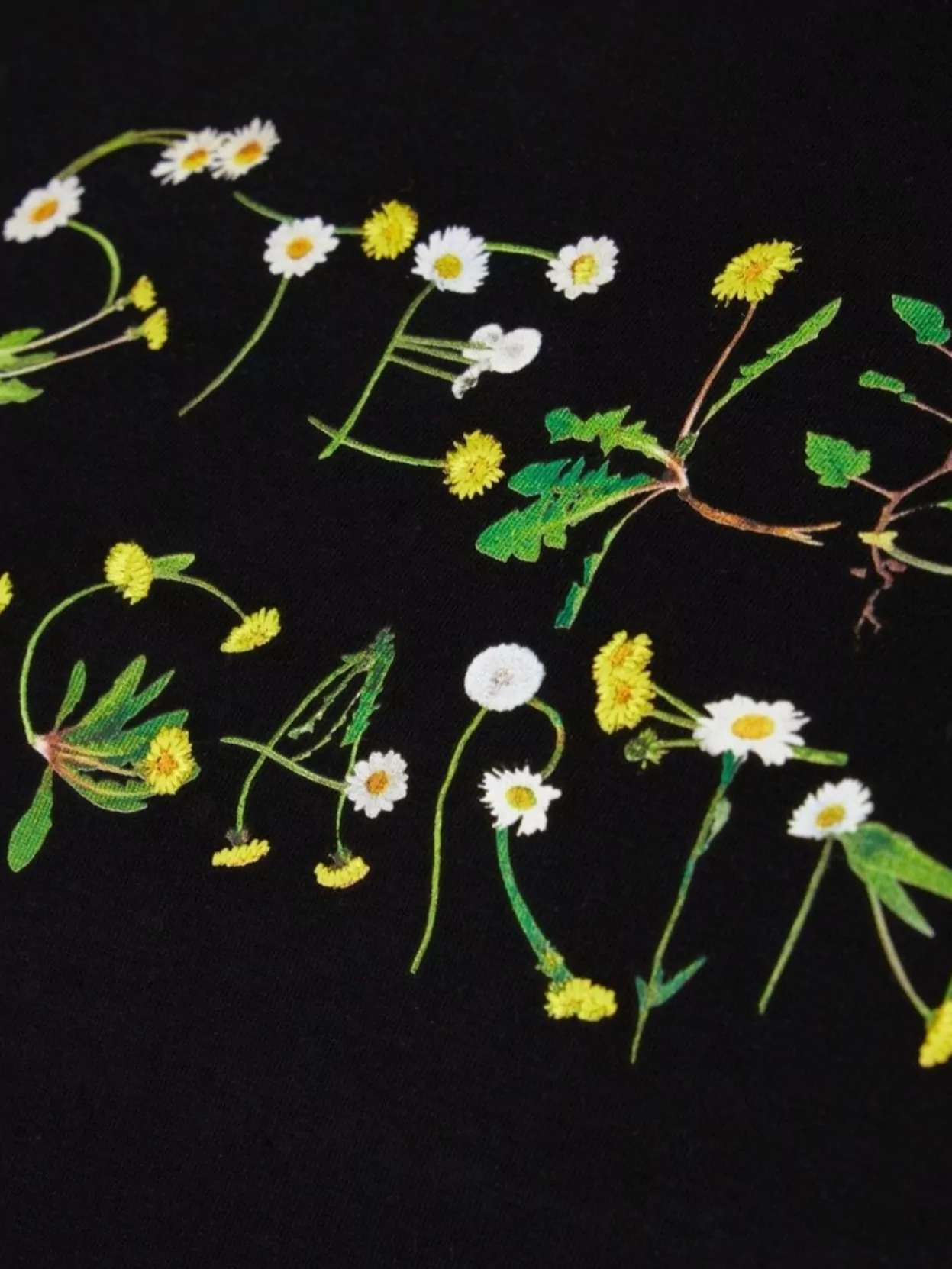 Stella Mccartney Dandelion Logo-print T-shirt