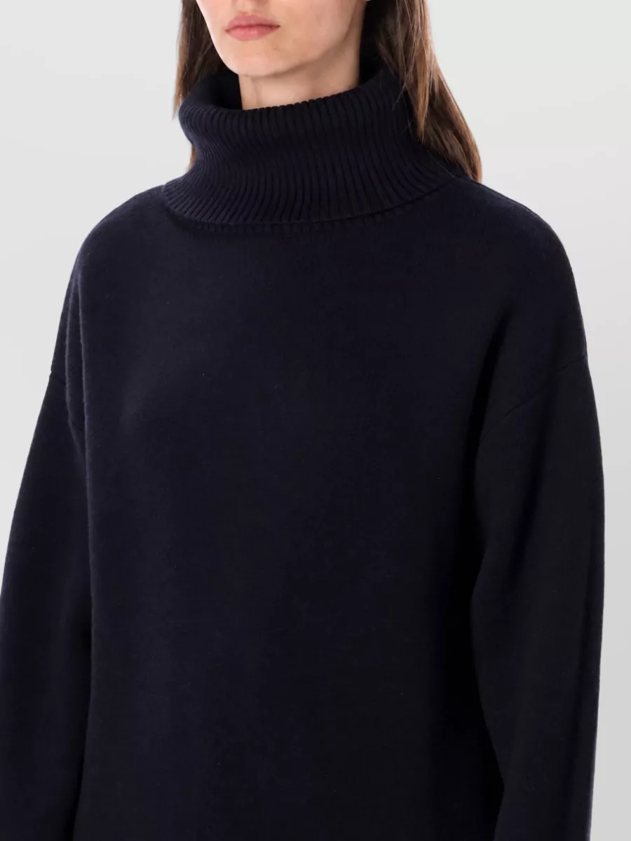 Rhea Costa Wool Turtleneck Sweatshirt