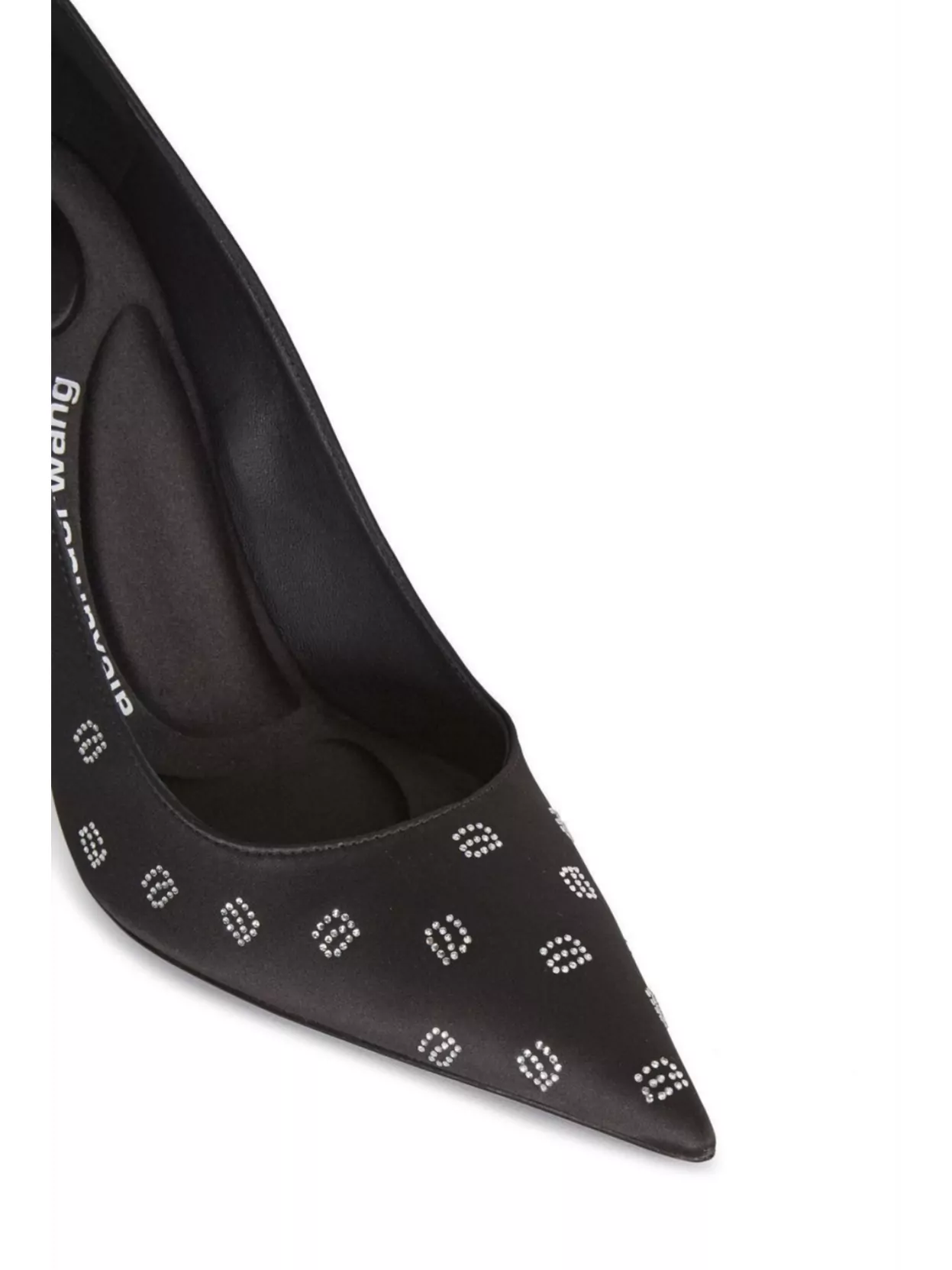 Alexander Wang Delphinein Embellished Stiletto Pumps In Black