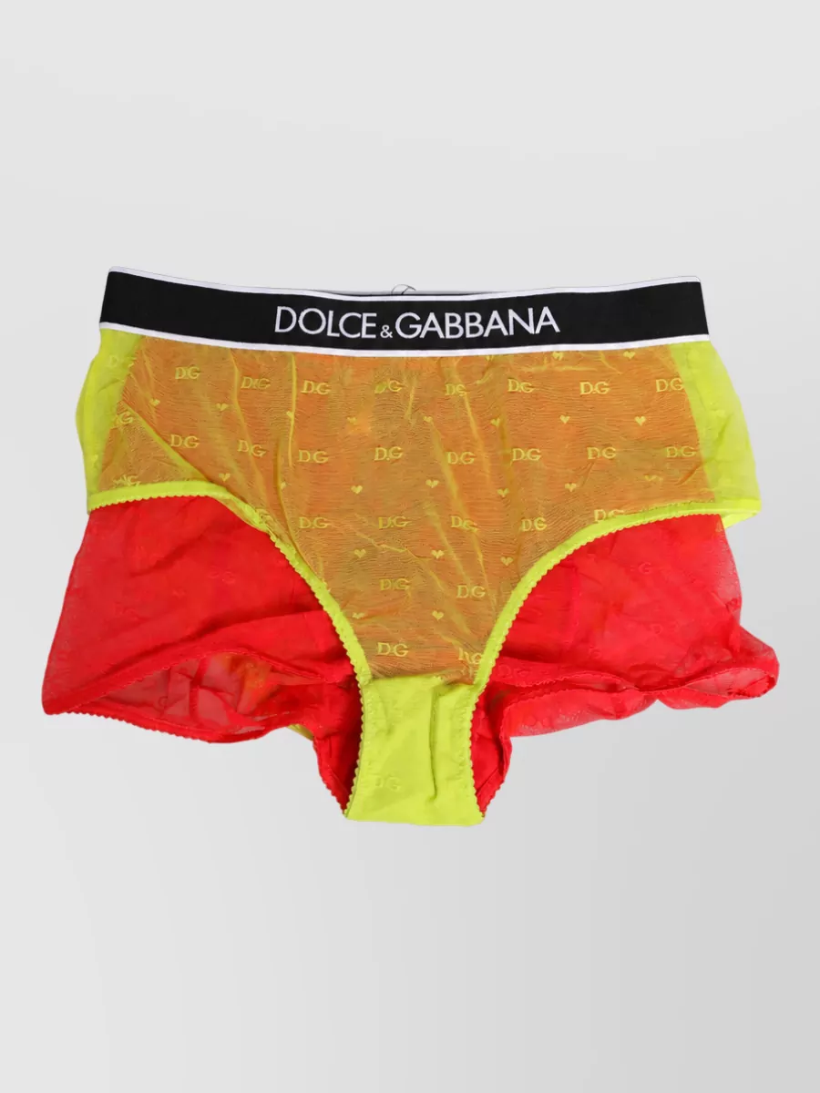 Dolce&Gabbana mid-rise tulle briefs