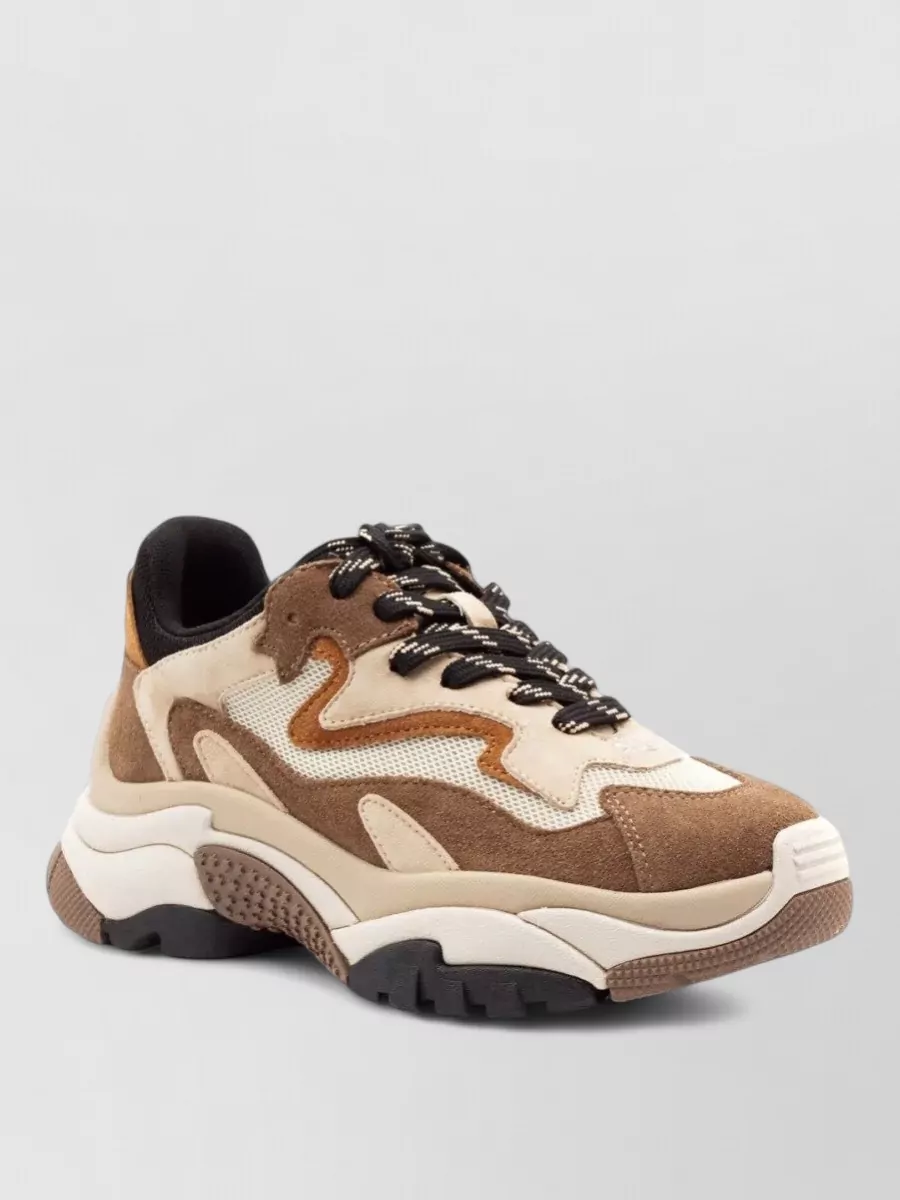 Ash leather low-top sneakers