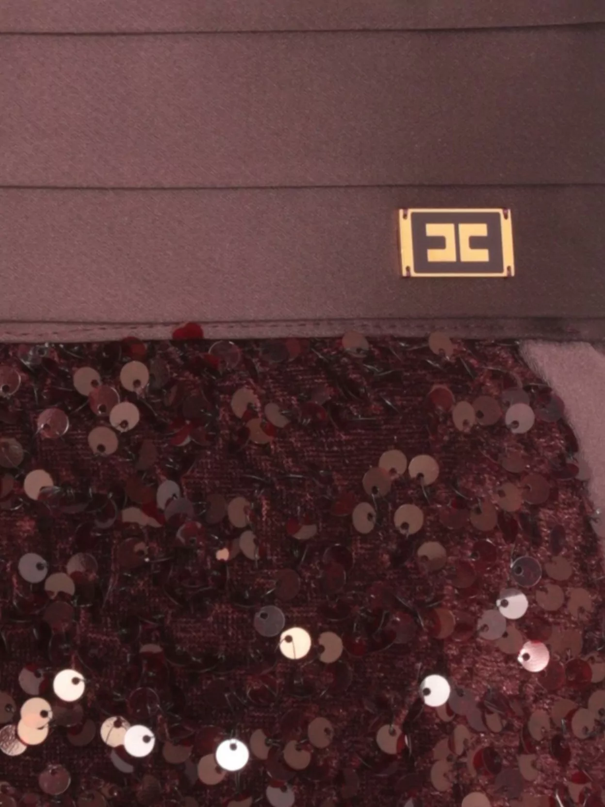 Elisabetta Franchi Sequin-embellished Shorts In Brown