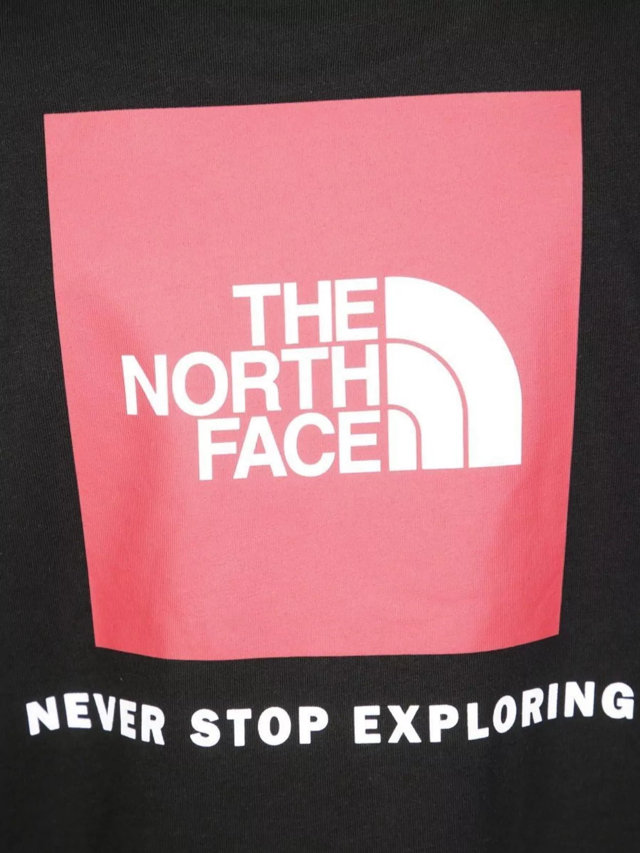 The North Face Crew Neck Graphic Print T-Shirt