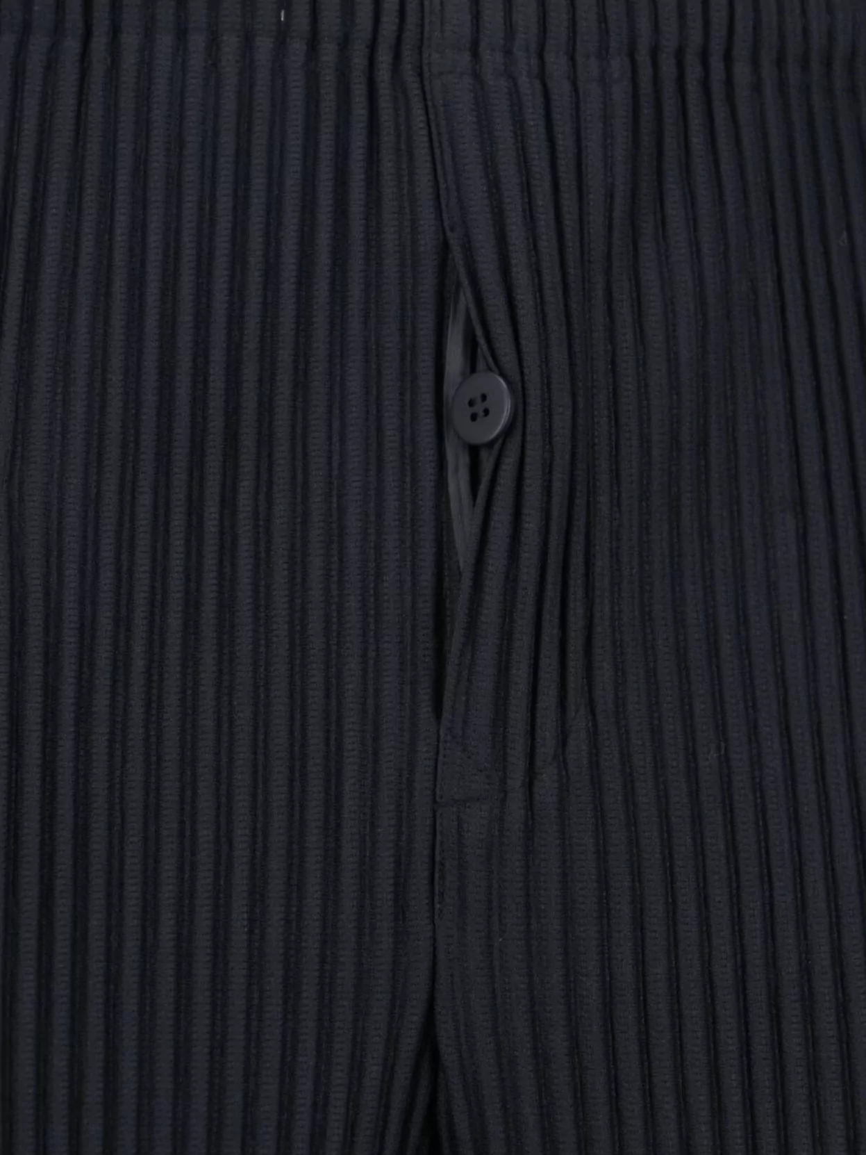 Homme Plisse Issey Miyake Tailored Trousers With Button And Pleats