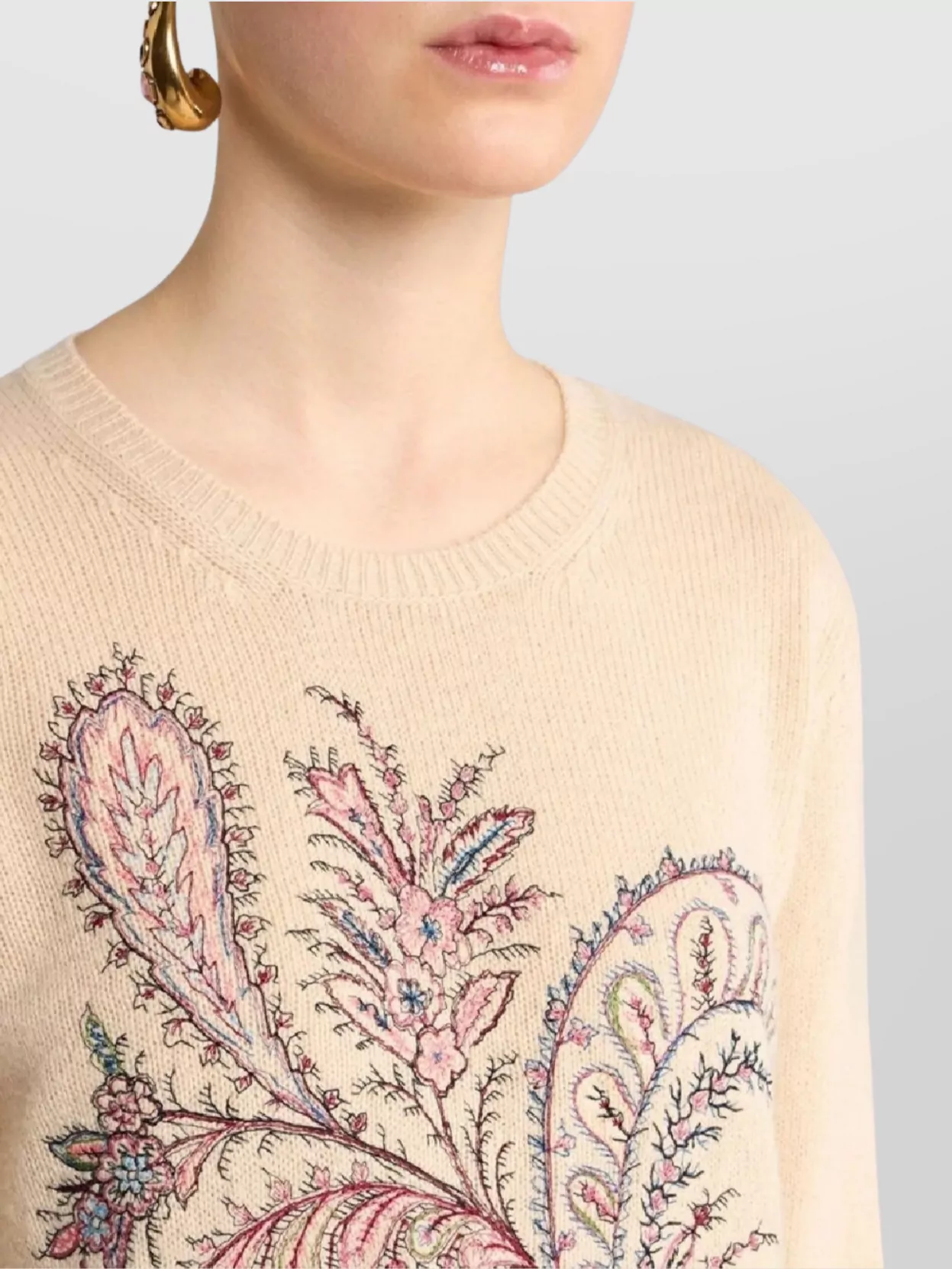 Etro Crew Neck Embroidered Knitwear Top