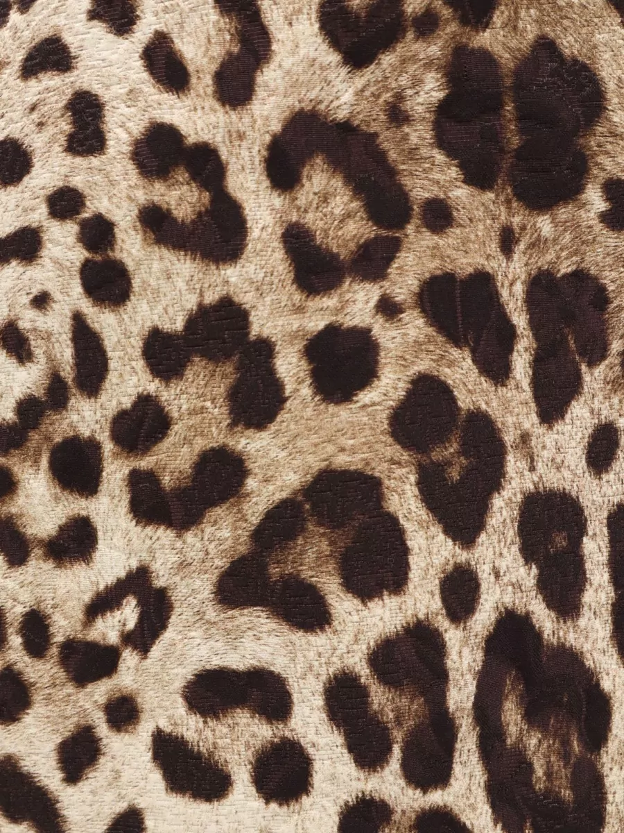 Dolce&Gabbana Low-Rise Flared Animal-Print Mini Skirt