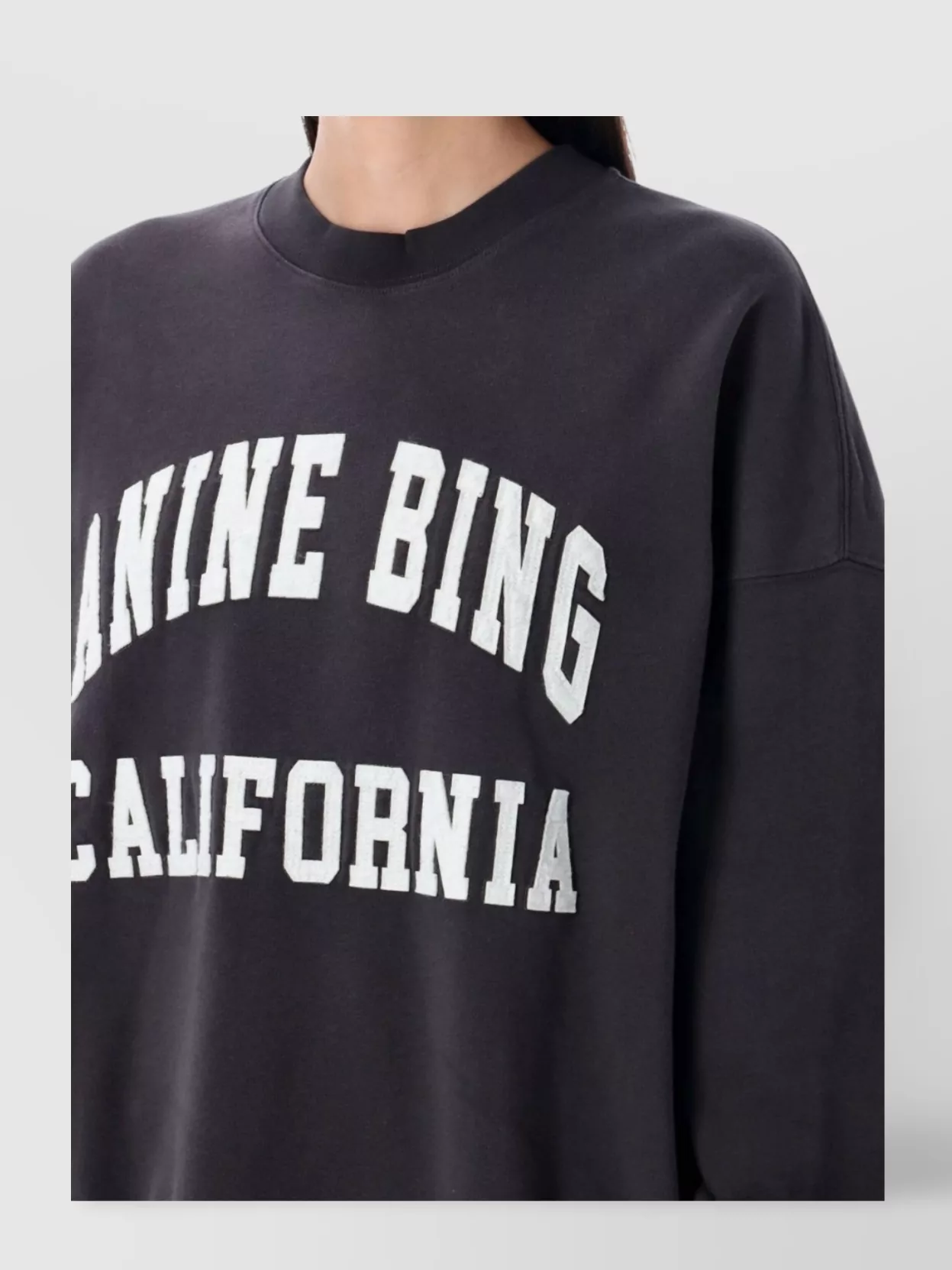 Anine Bing Miles Fleece Crew Neck Graphic Print
