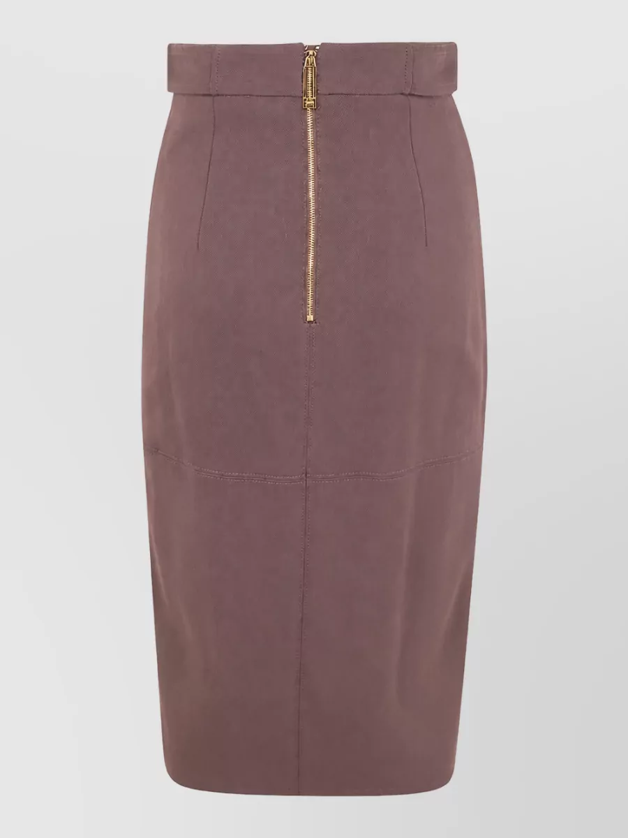 Elisabetta Franchi Midi Pencil Skirt