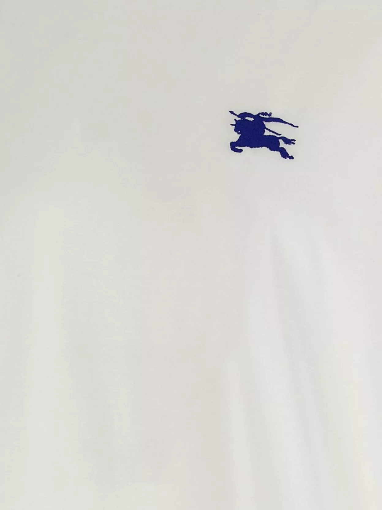 Burberry Mens Salt Ekd-embroidered Short-sleeve Cotton-jersey T-shirt