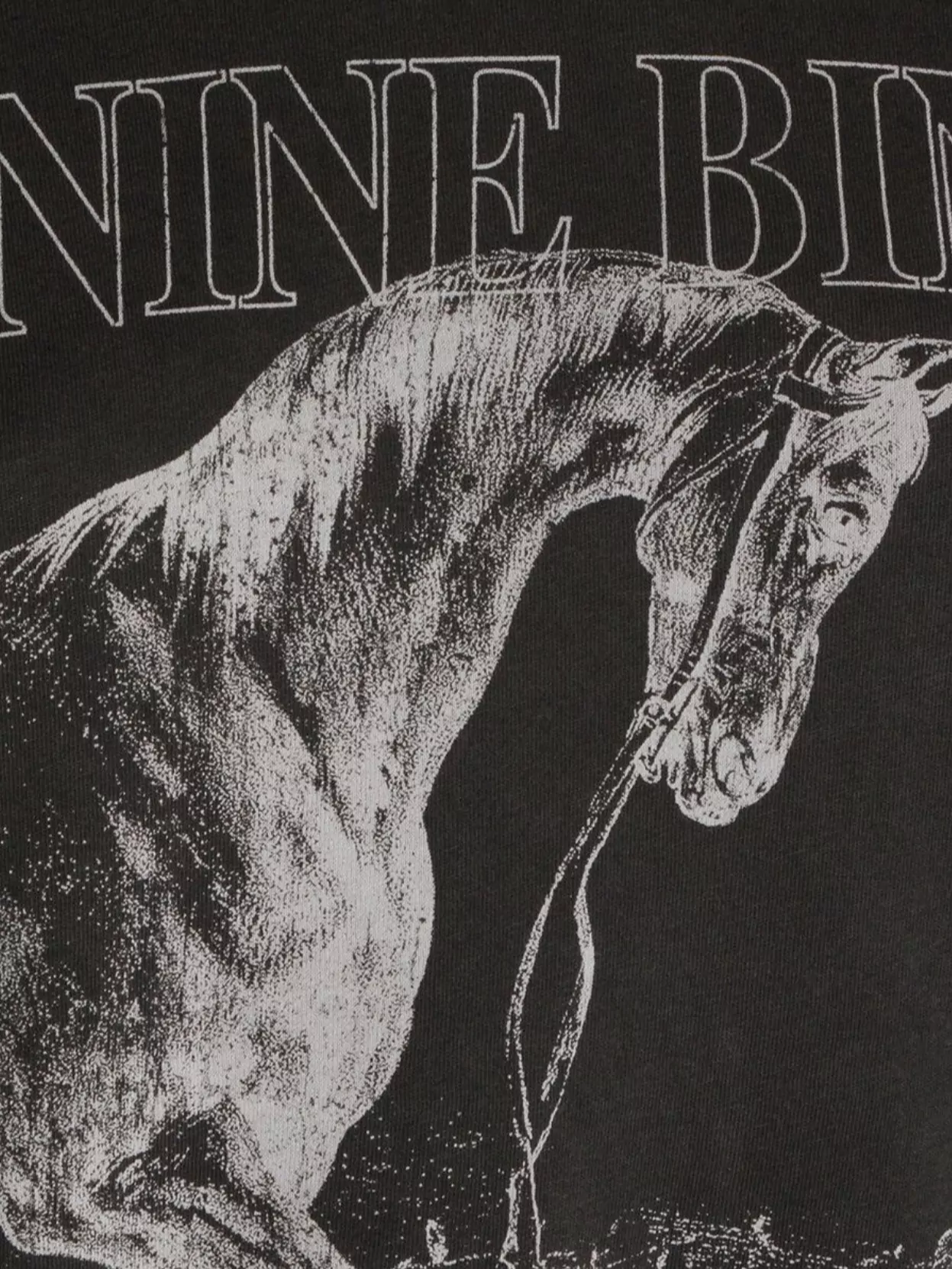 Anine Bing Graphic Print Crew Neck Short Sleeve Top