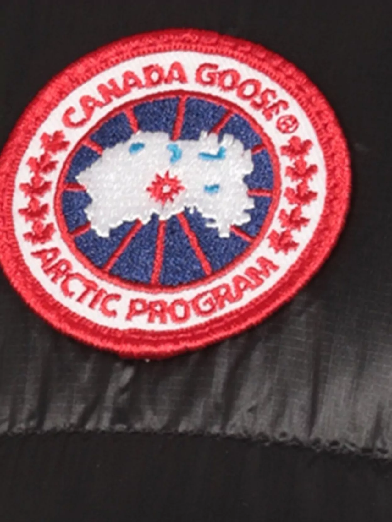 Canada Goose Quilted And Padded Husky Drawstrings Jacket