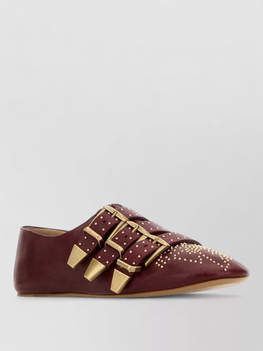 Chloé Susan Ballerinas Pointed Toe Studded Detail In Brown