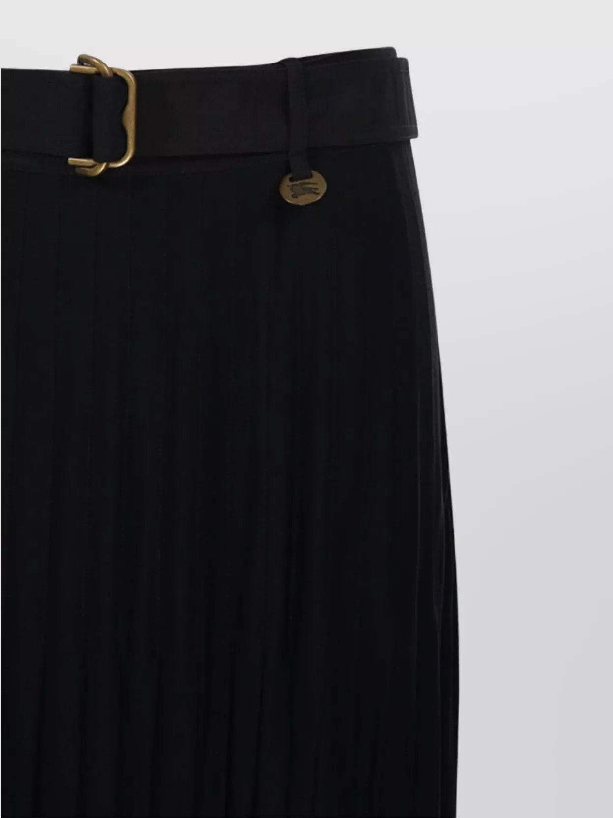 Burberry Pleated Skirt Belted Waist