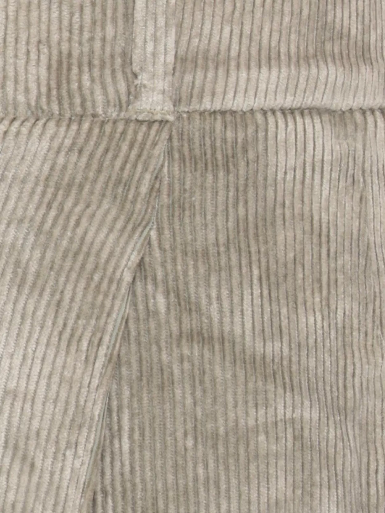 Peserico Tailored Trousers Leather Detail