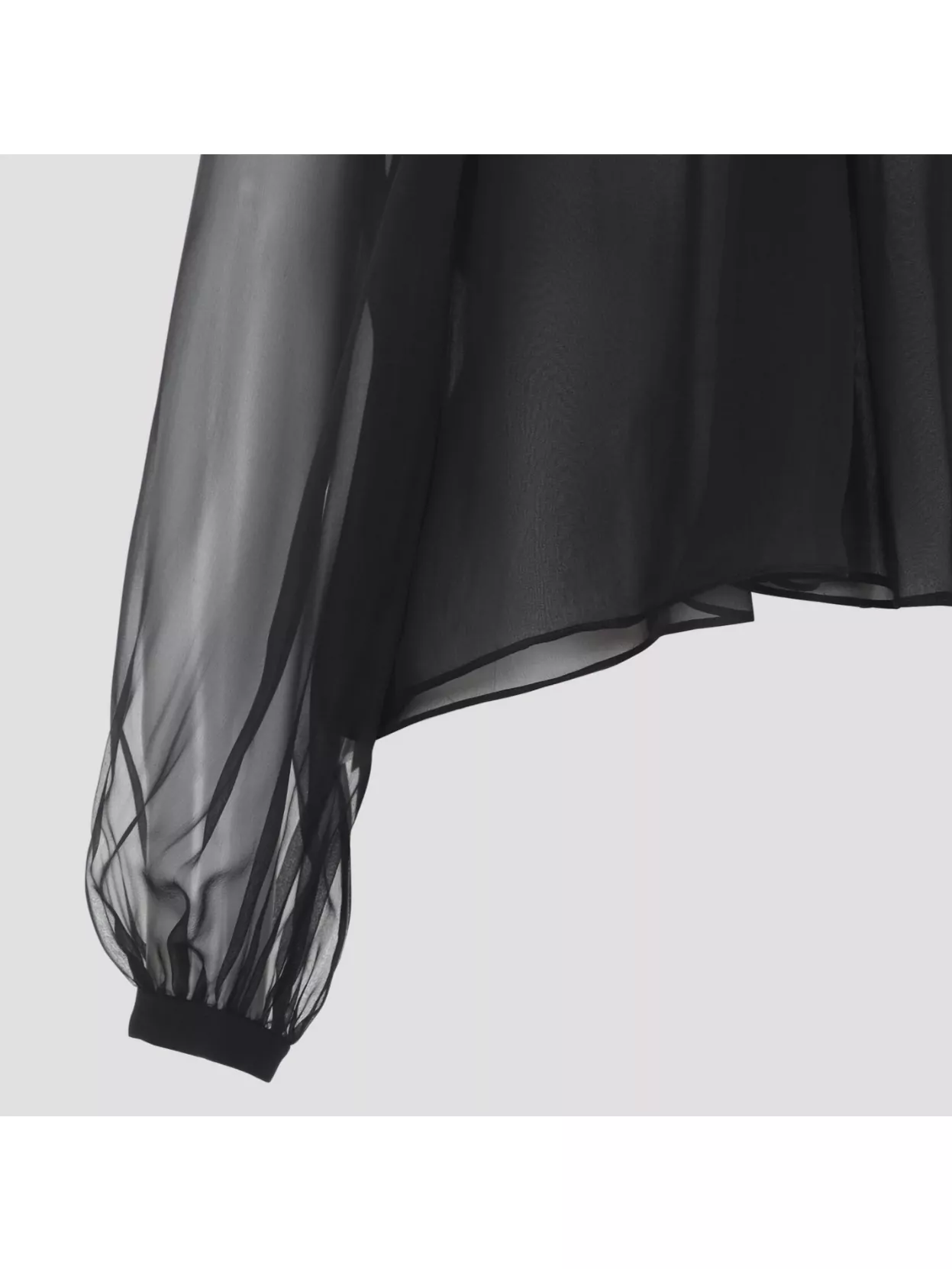 Alberta Ferretti Long Sleeve Sheer Blouse With Ruffles And Flowers