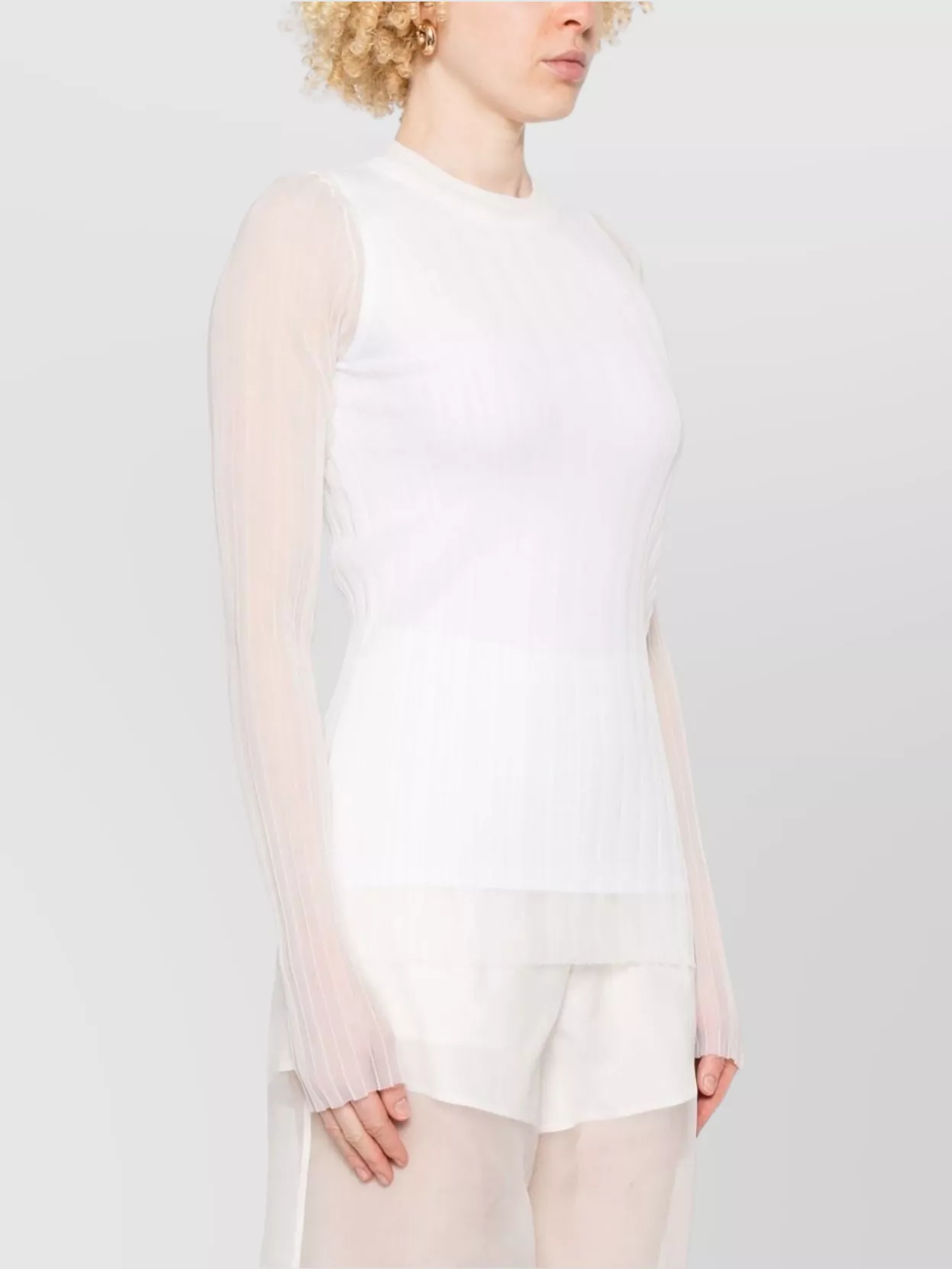 Max Mara Ribbed Crewneck Knitwear Sheer Sleeves