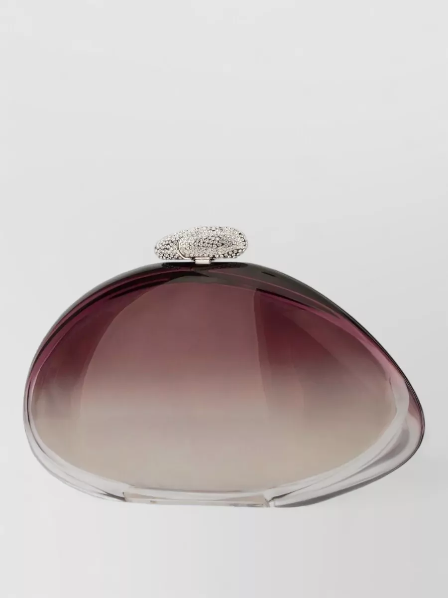 Benedetta Bruzziches methacrylate clutch bag