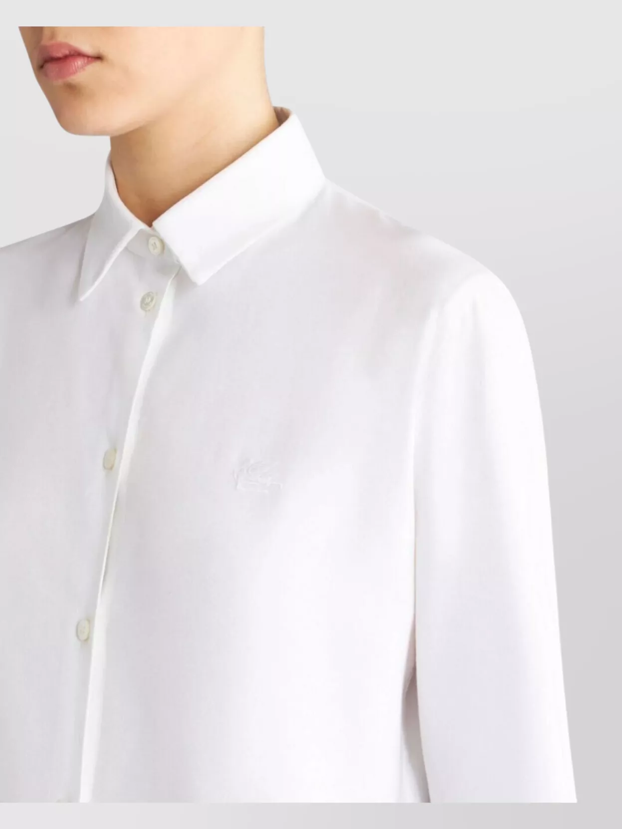 Etro Point Collar Shirt With Long Sleeves