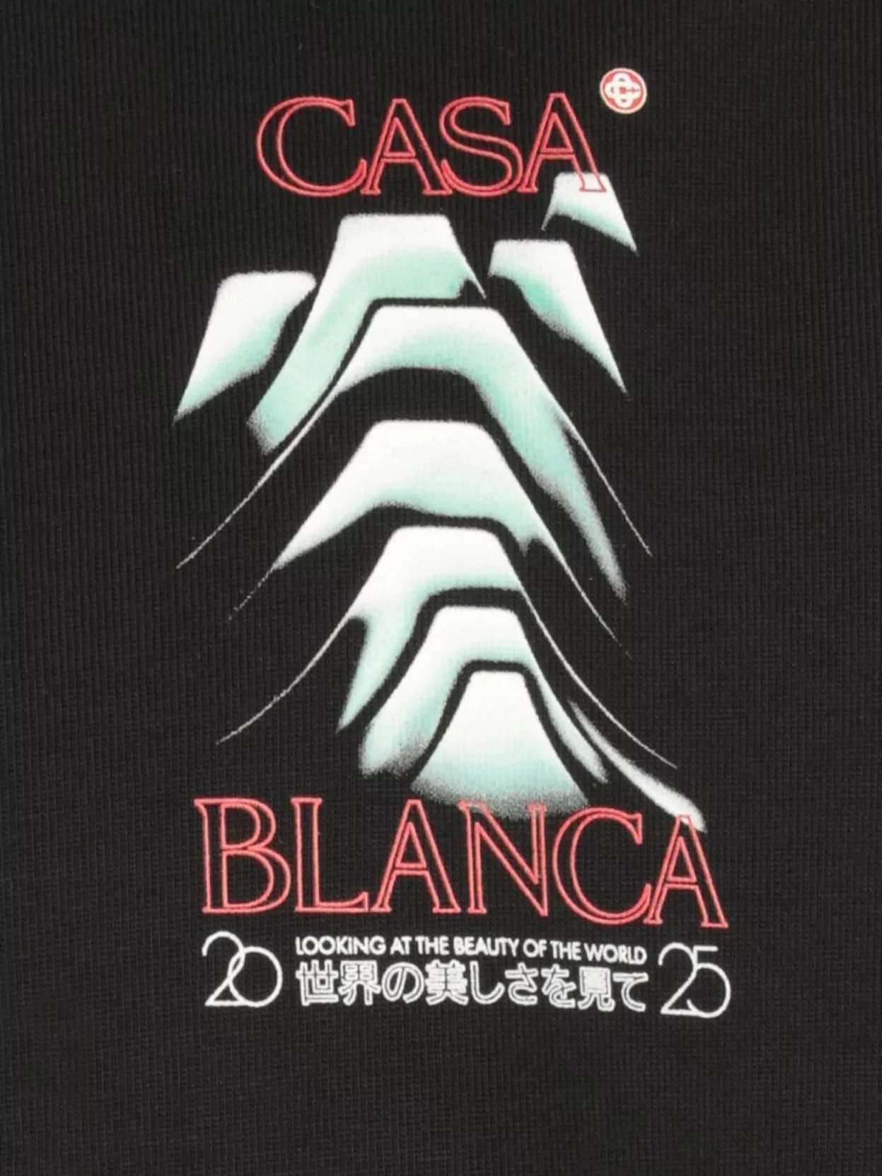 Casablanca Mountain Frost Graphic Crewneck T-Shirt