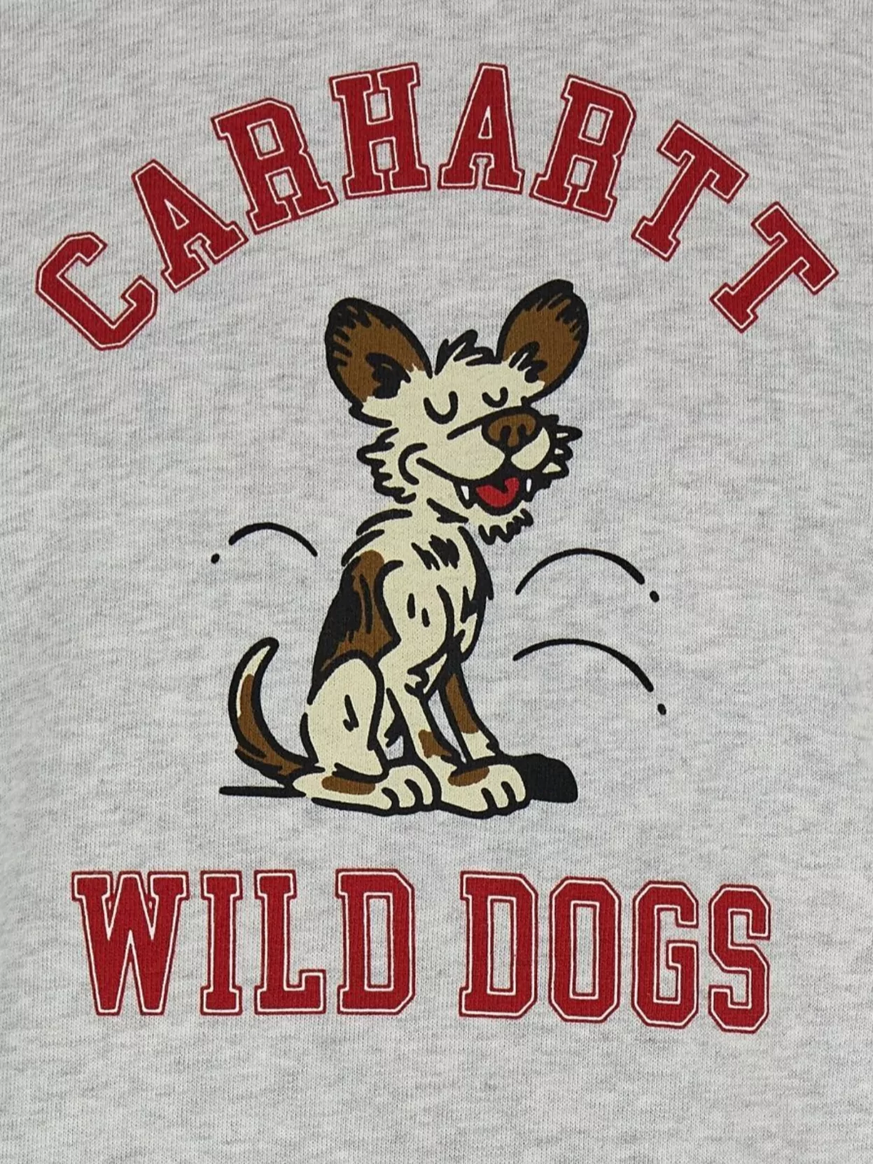 Carhartt Wip Urban Canine Graphic Hoodie