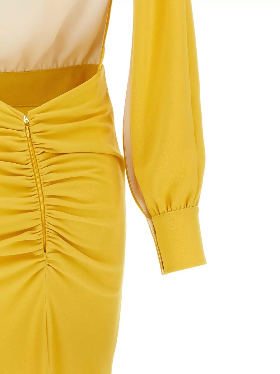 Elisabetta Franchi Long Dress Fitted Waist Open Back