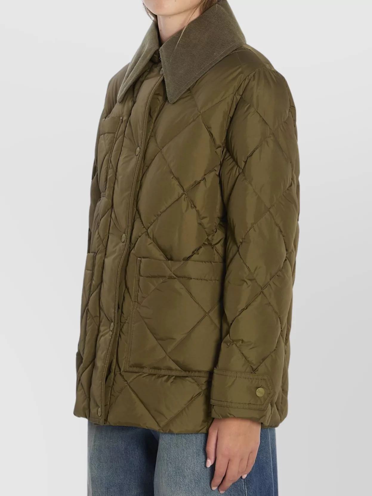 Herno Pointed Collar Quilted Down Jacket