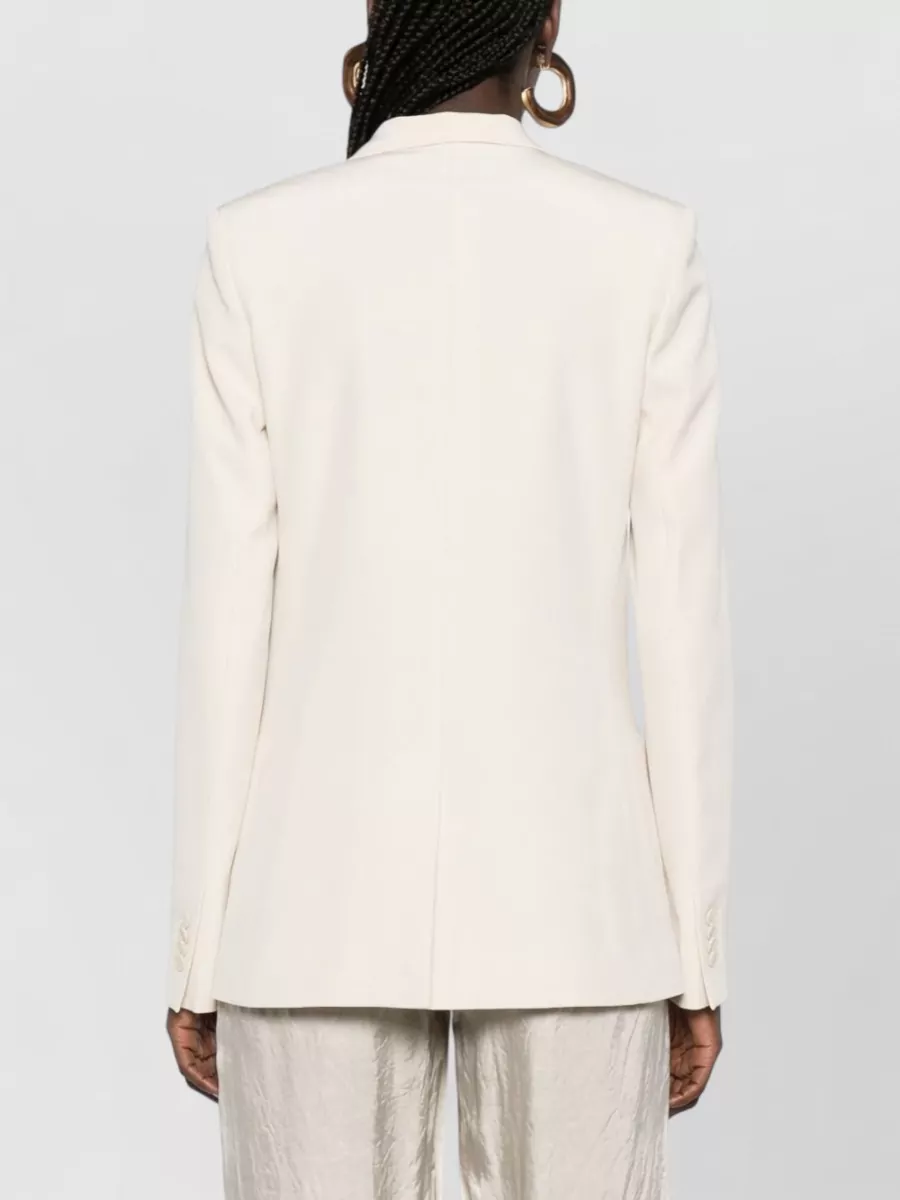 Isabel Marant Feray Single Breasted Tailored Jacket