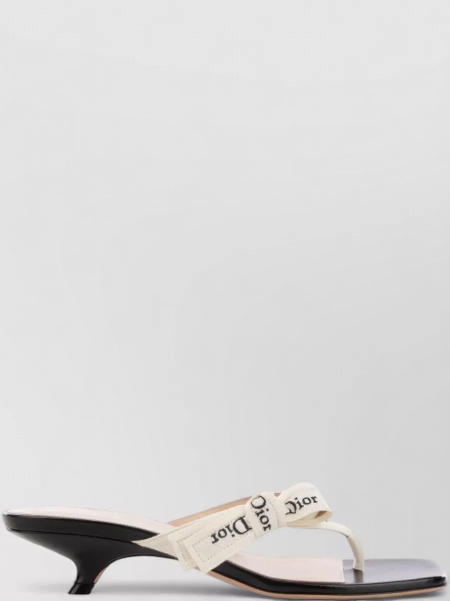 Dior Leather Mules In Multi