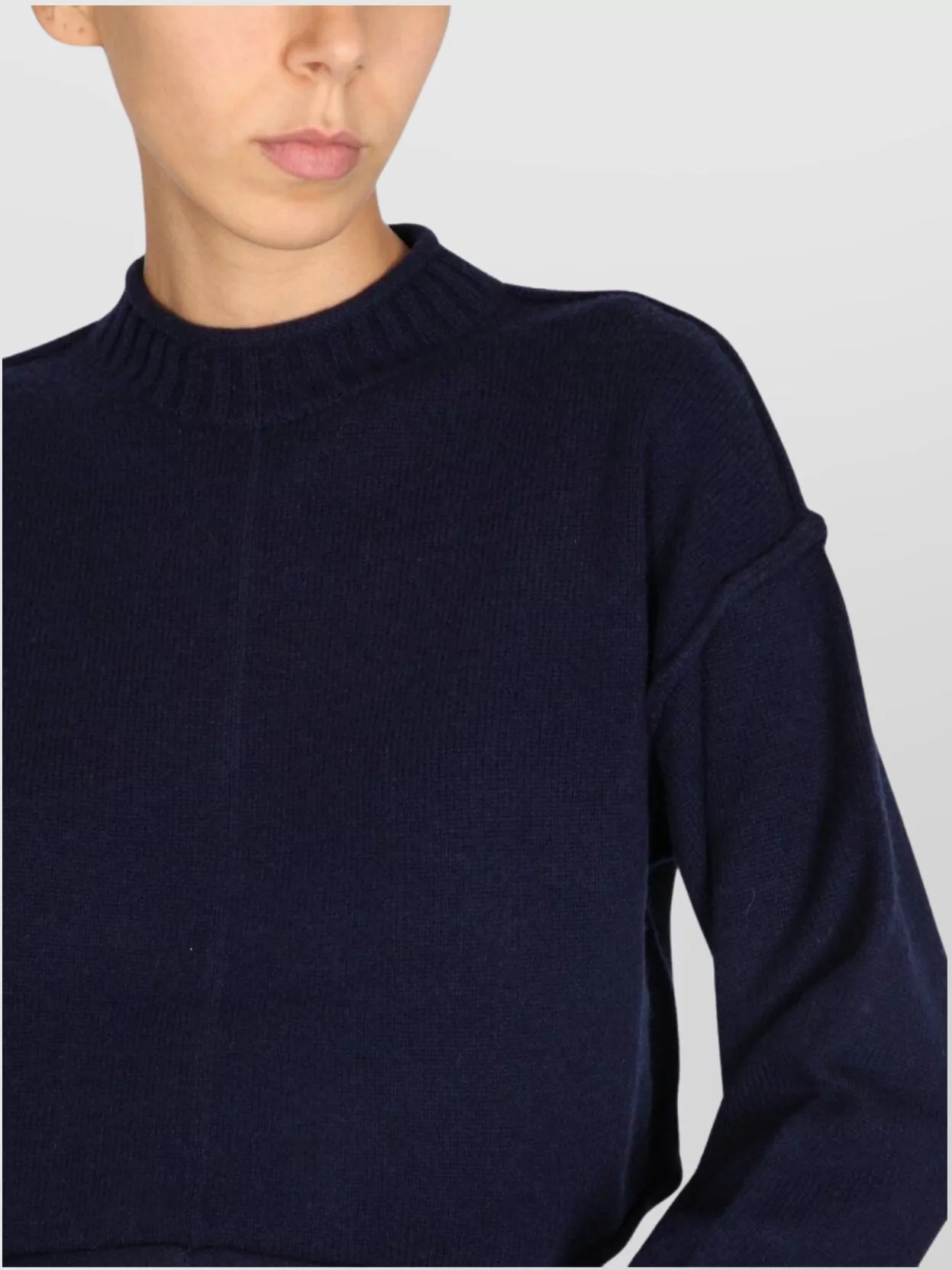 Max Mara Cashmere Wool Crew Neck Sweater