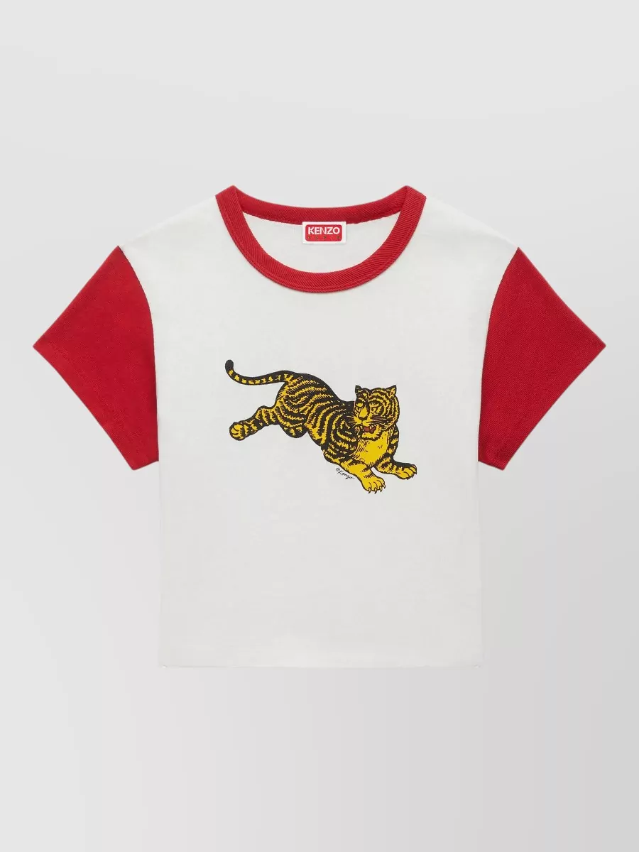 Kenzo cropped cotton printed t-shirt