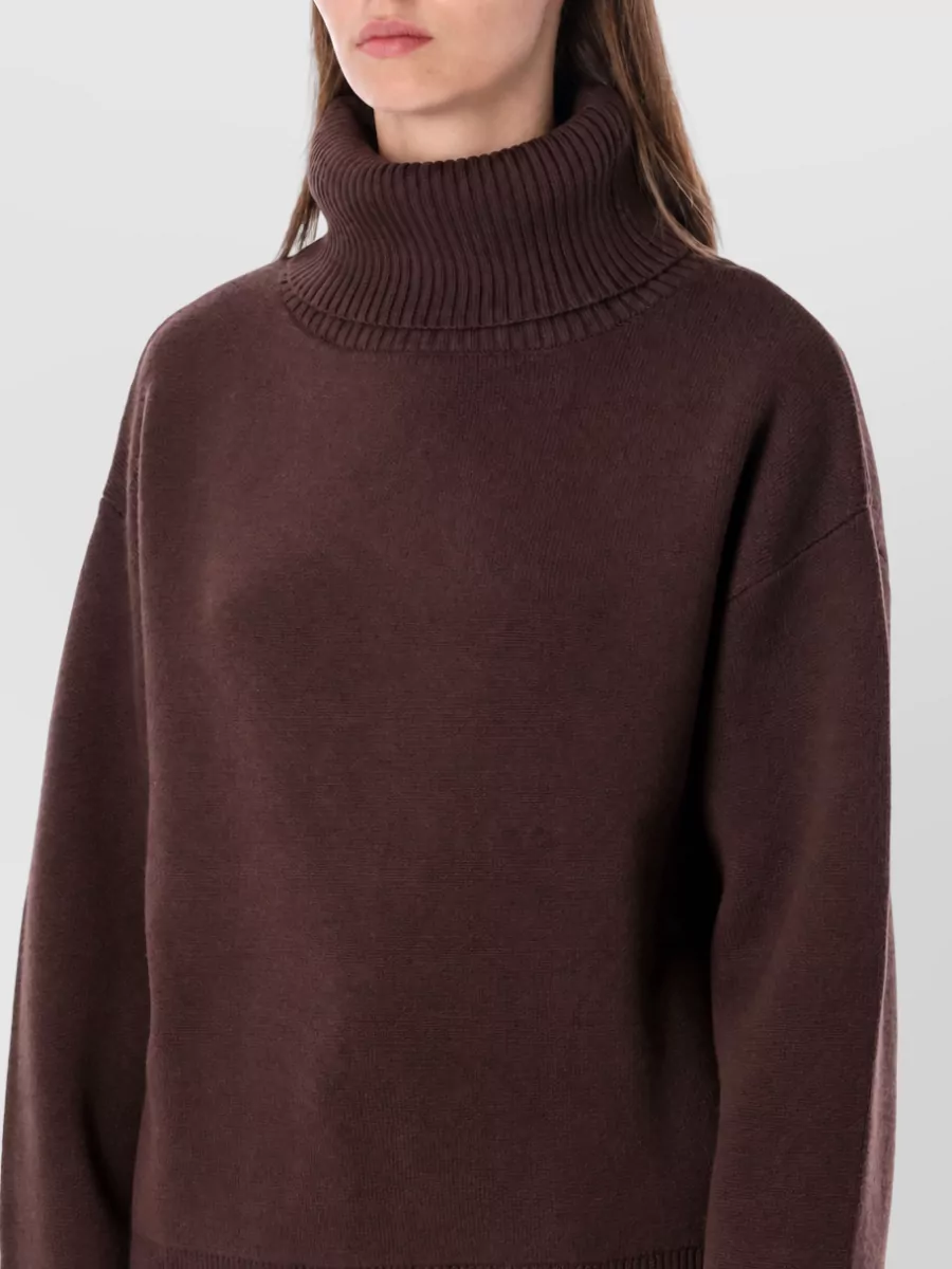 Rhea Costa Wool Turtleneck Sweater