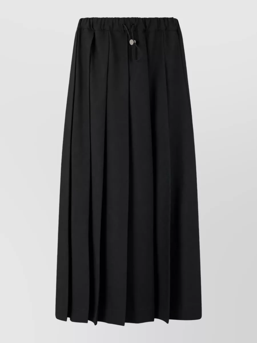 Fabiana Filippi High-rise pleated maxi skirt