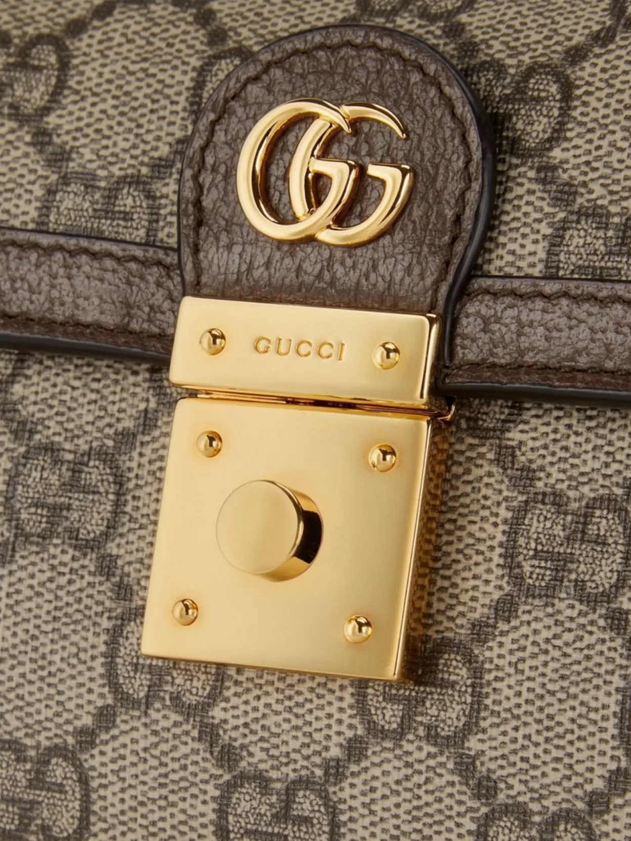 Gucci Mini Bag With Adjustable Leather Strap