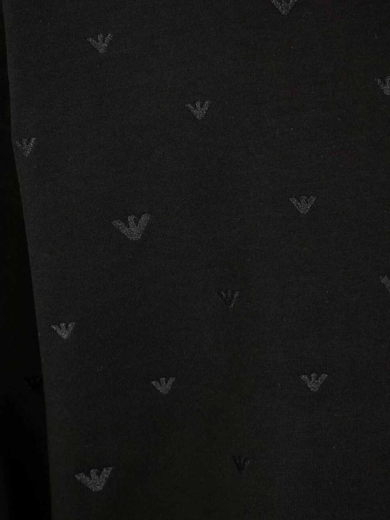 Emporio Armani Logo Print Cotton Hoodie