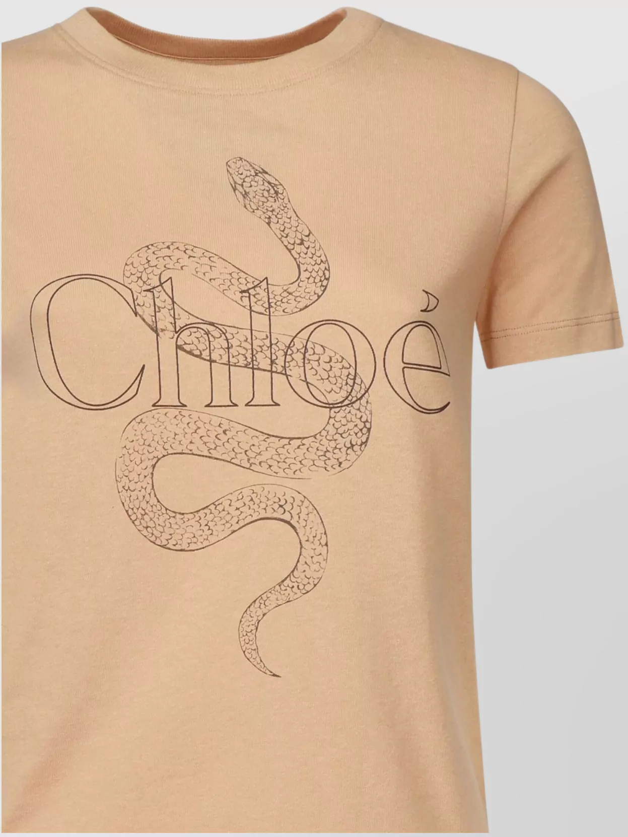 Shop Chloé Logo Cotton T-shirt Round Neckline