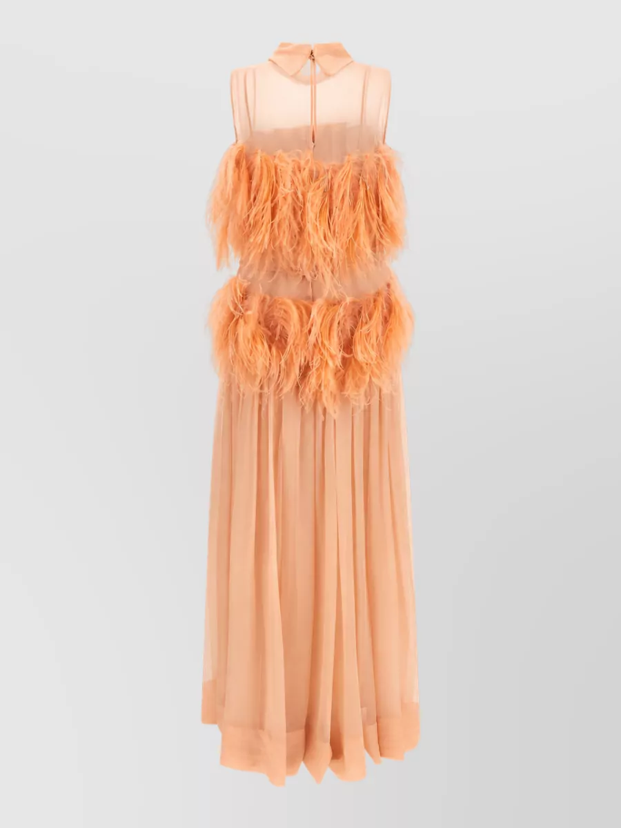 Alberta Ferretti Silk Sleeveless Feather-Embellished Chiffon Maxi Dress