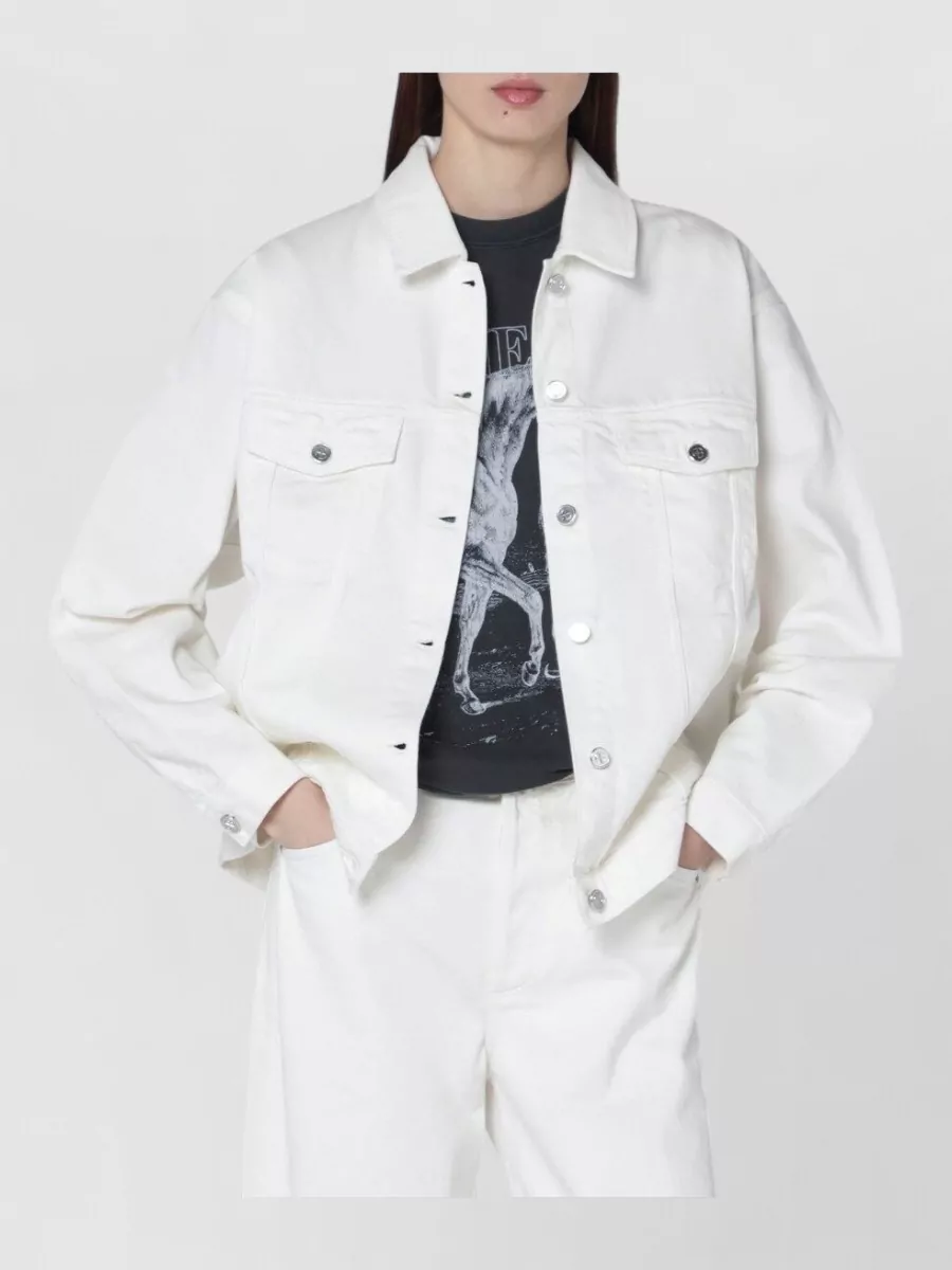 Anine Bing denim jacket
