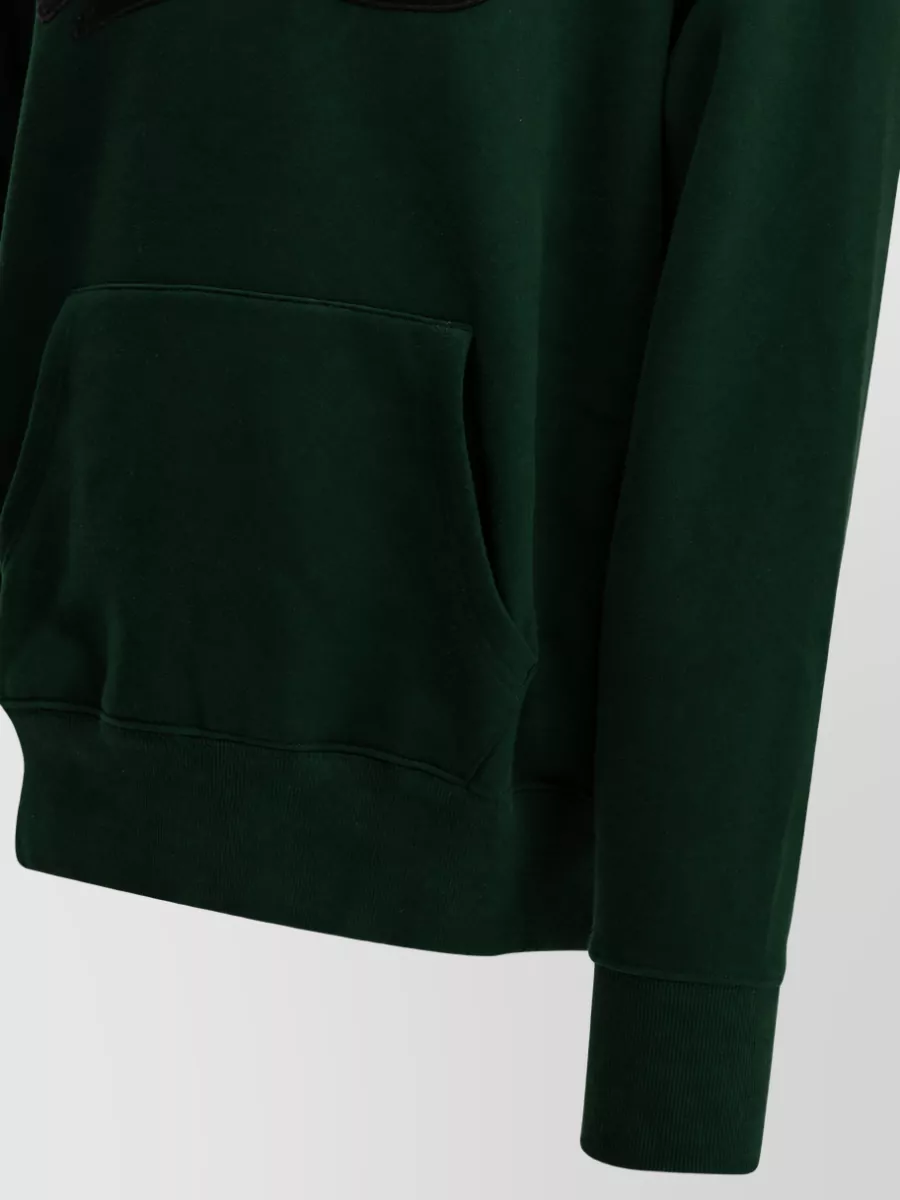 Polo Ralph Lauren Hooded Sweatshirt