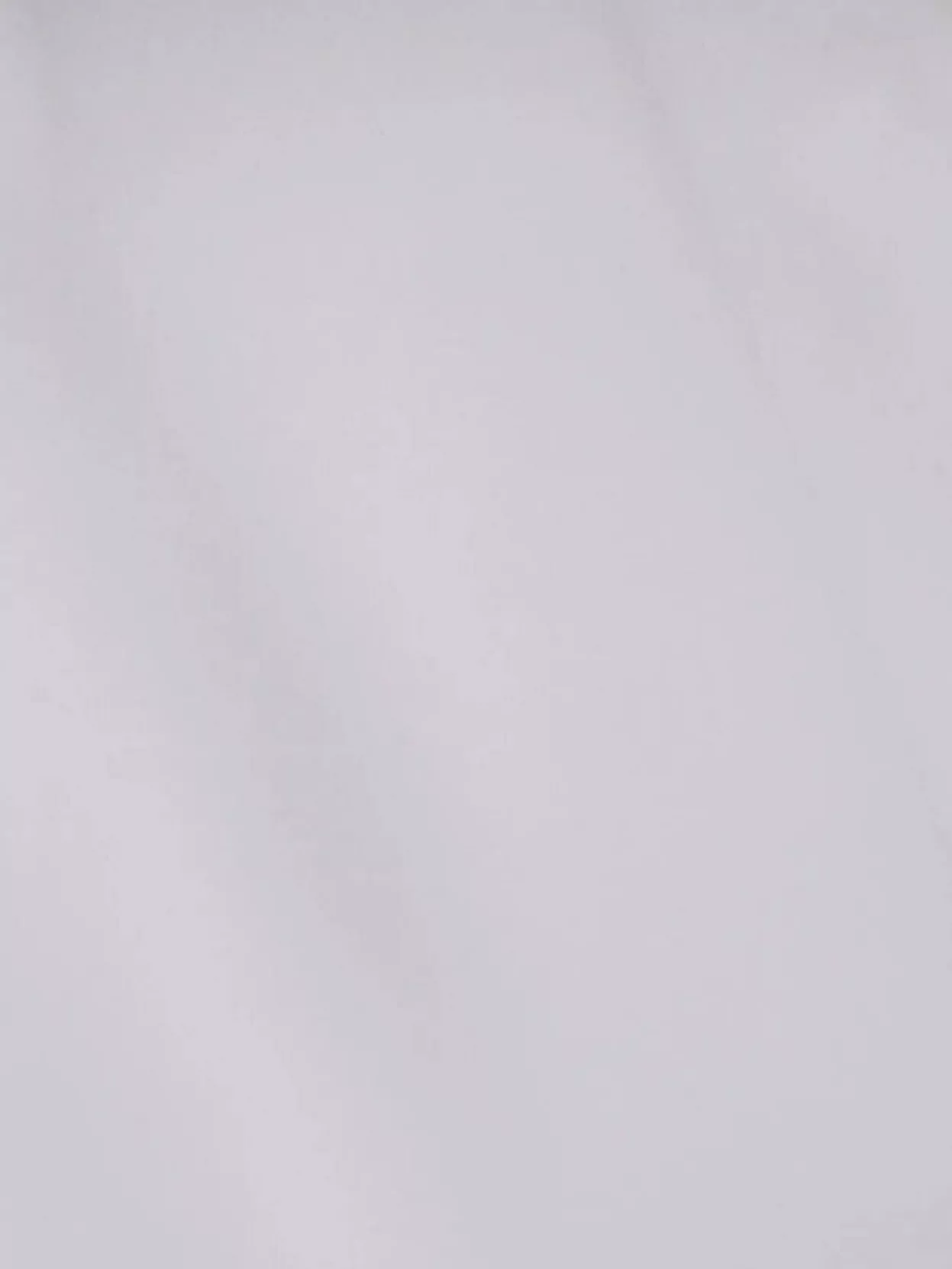 Max Mara Silk Shirt With Tie Neck And Long Sleeves In White