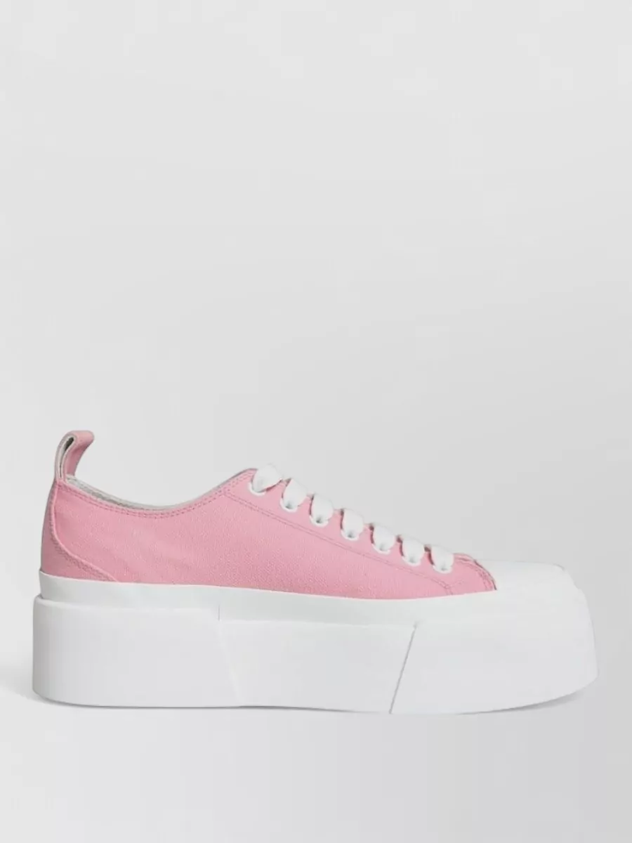 Dolce&Gabbana Canvas Logo Low Top Sneakers