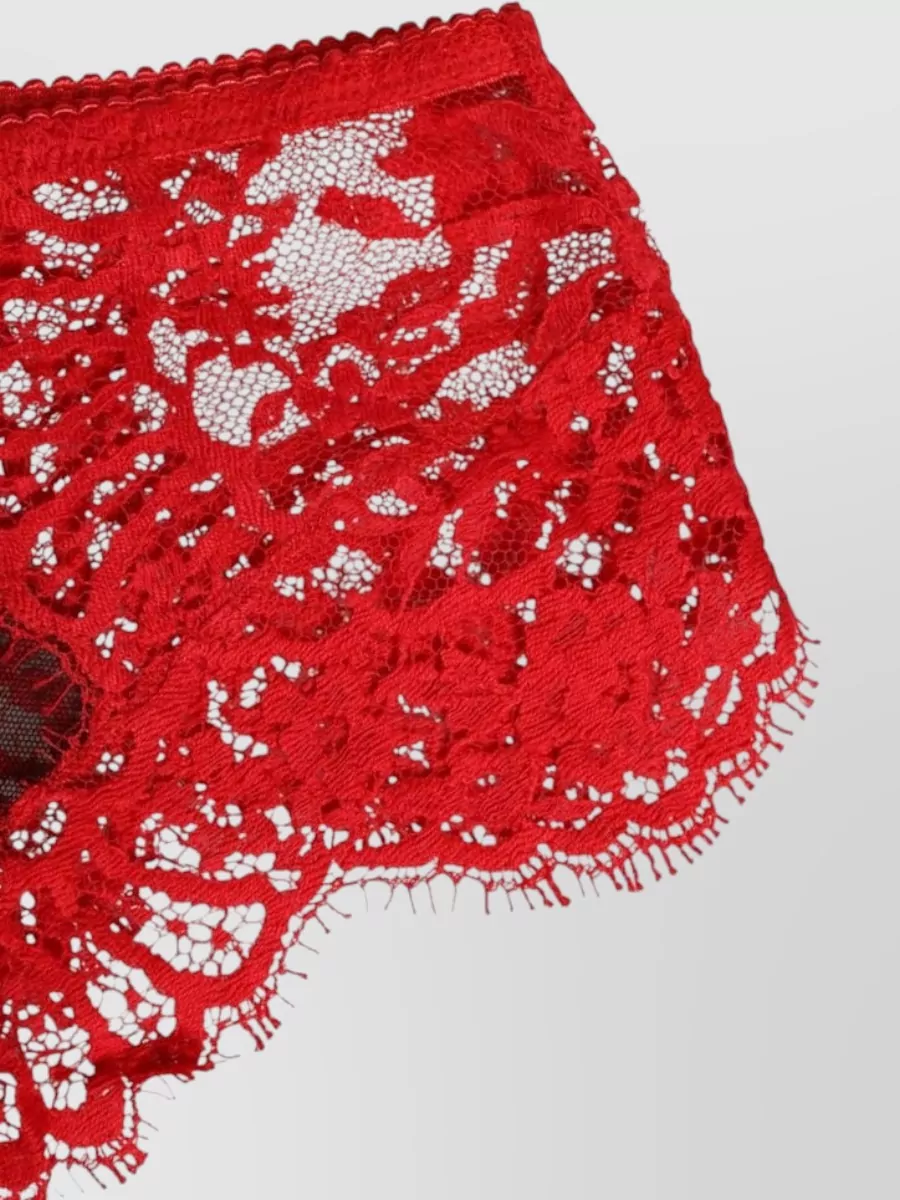 Dolce&Gabbana Floral Lace Briefs