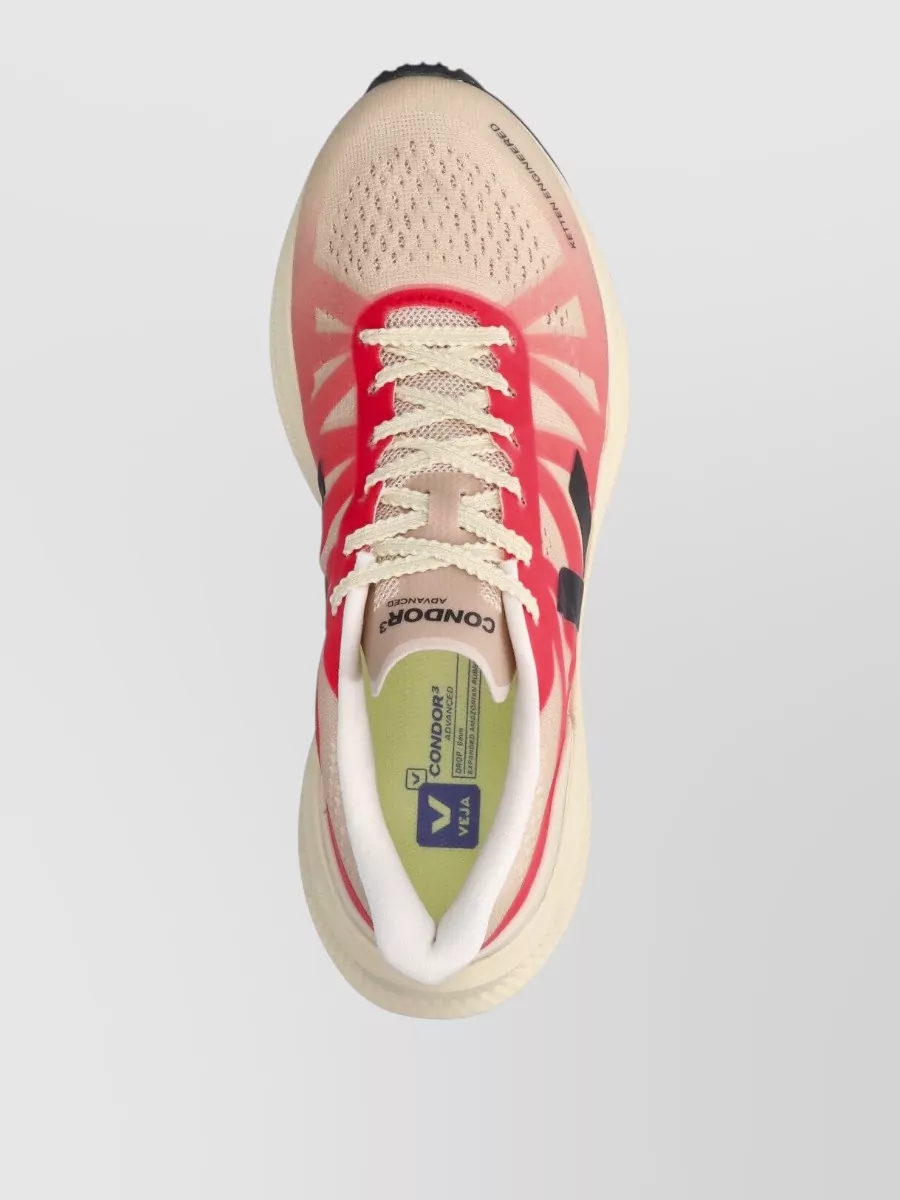 Veja Low-Top Sneakers
