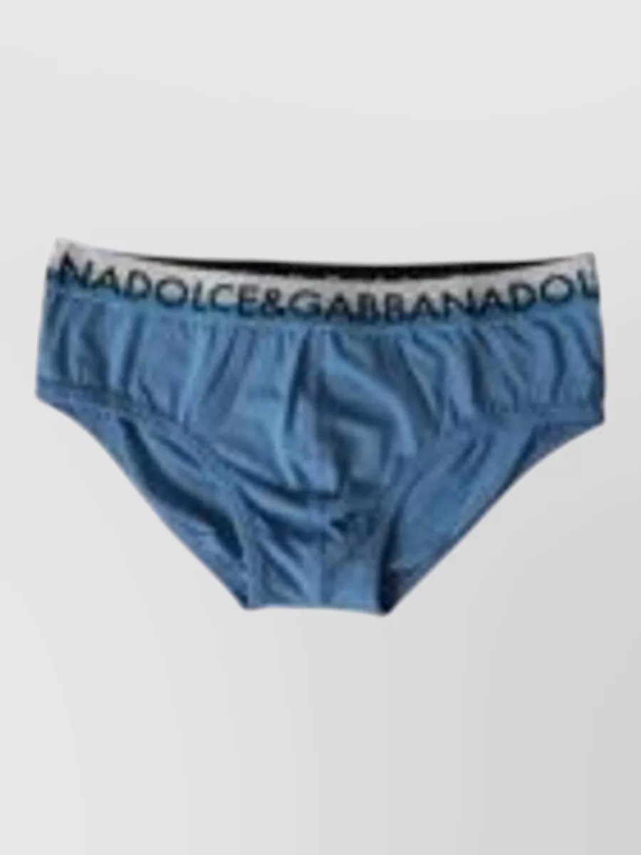 Dolce&Gabbana Leopard high-waist briefs