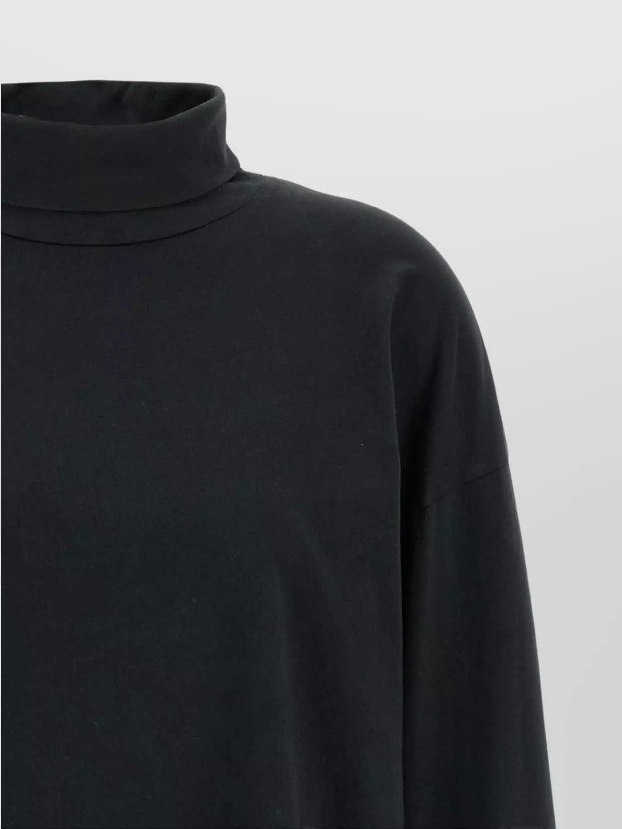 Haikure 'Ivy' Turtleneck Long Sleeves Knitwear